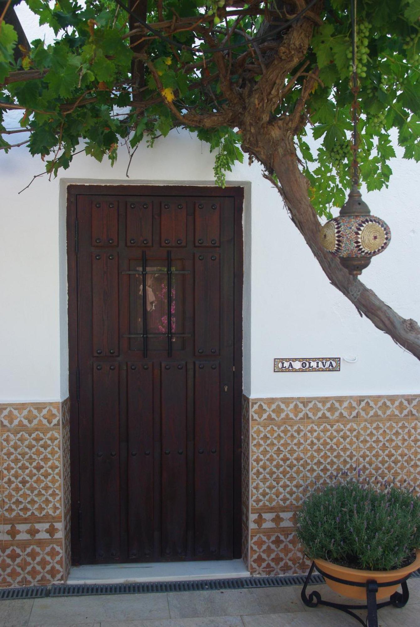 Bed and breakfast Lujos
