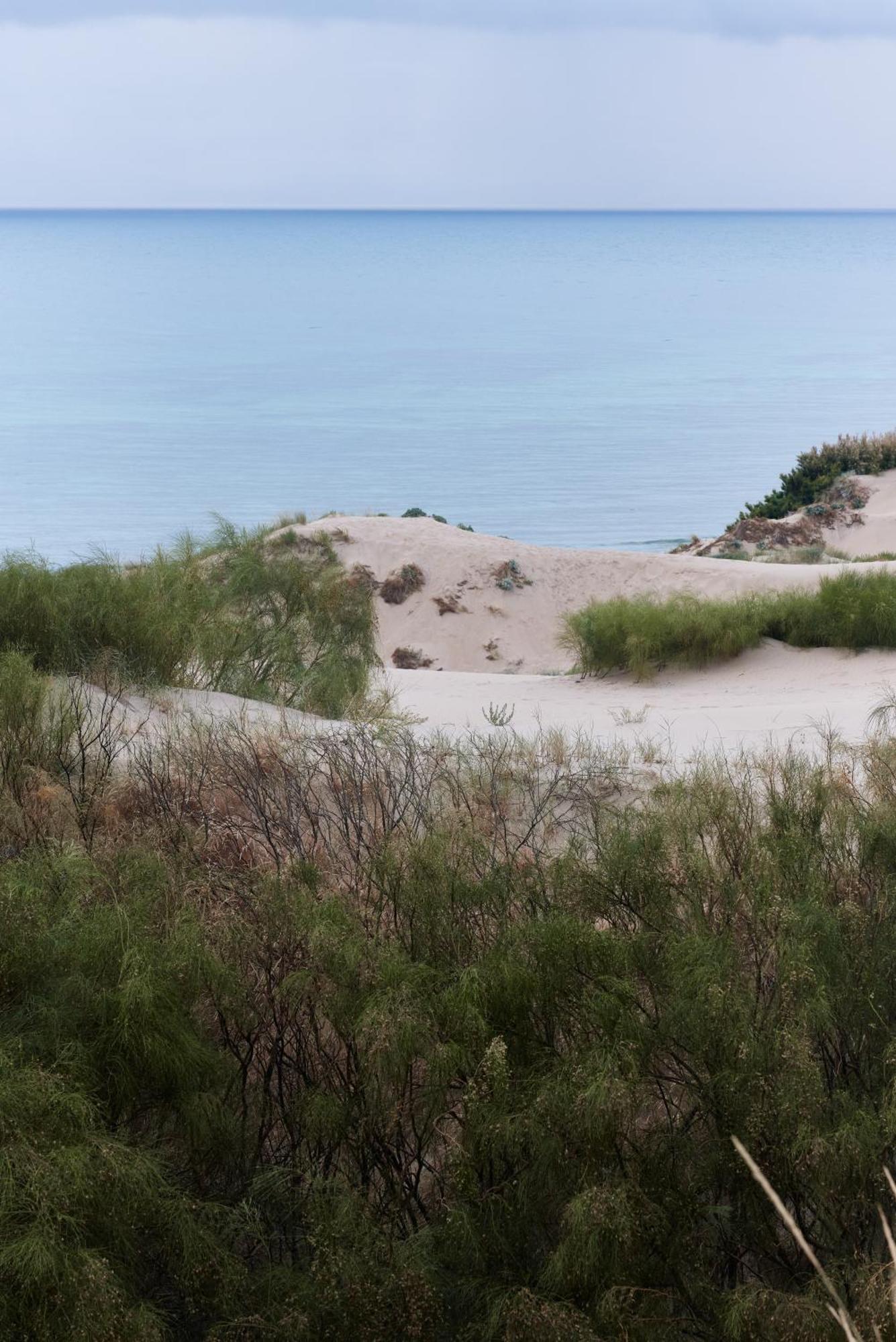 Taiga Punta Paloma Camping *