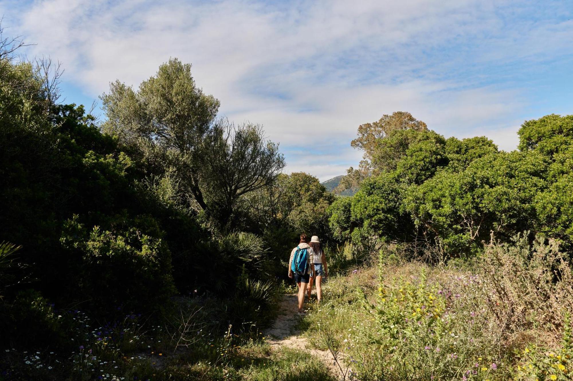 Taiga Punta Paloma *