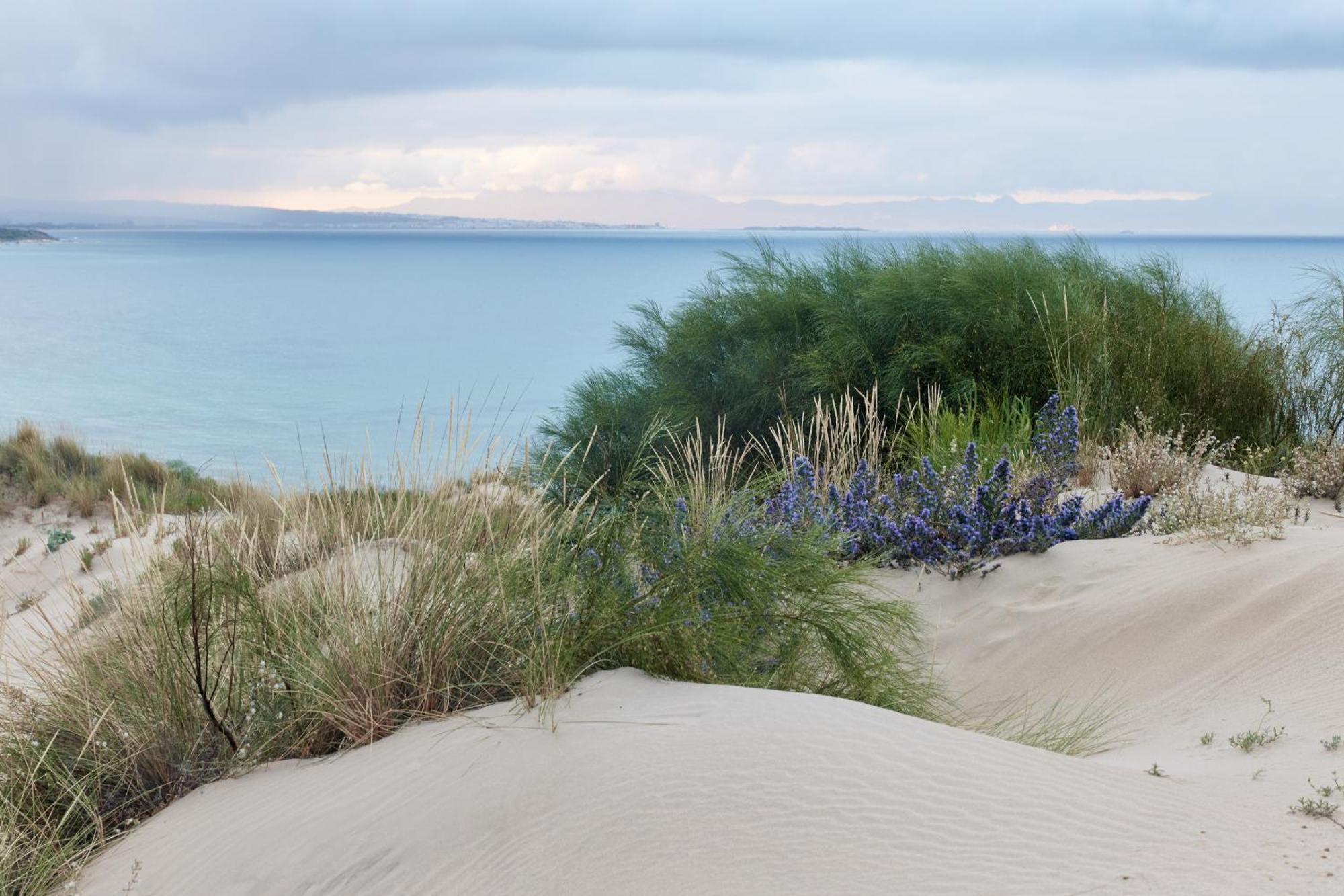 Taiga Punta Paloma Camping Tarifa