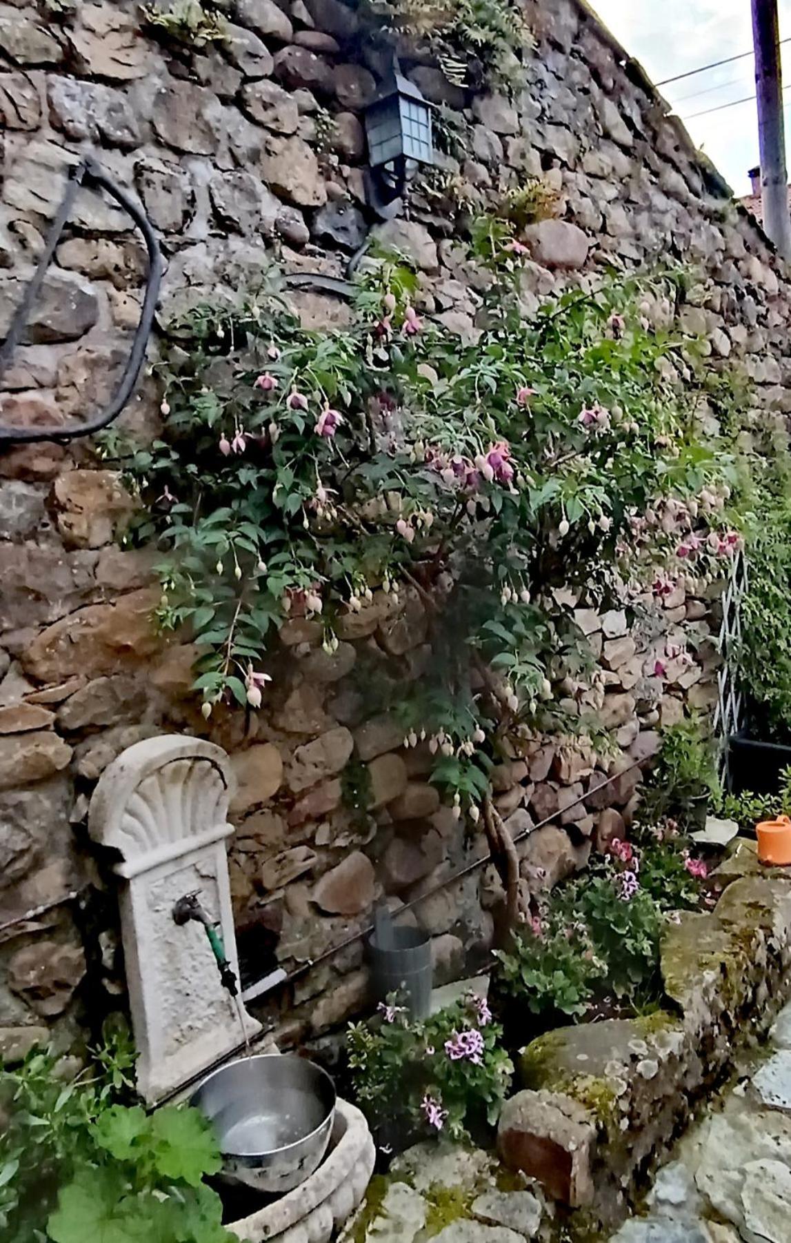 Holiday home Casa El Envero Saro