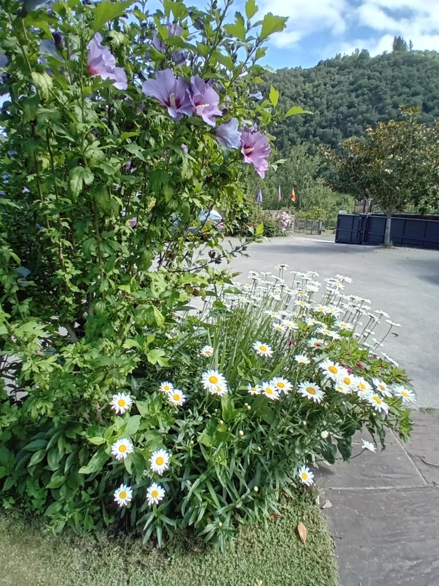 Inn Picos De Europa And