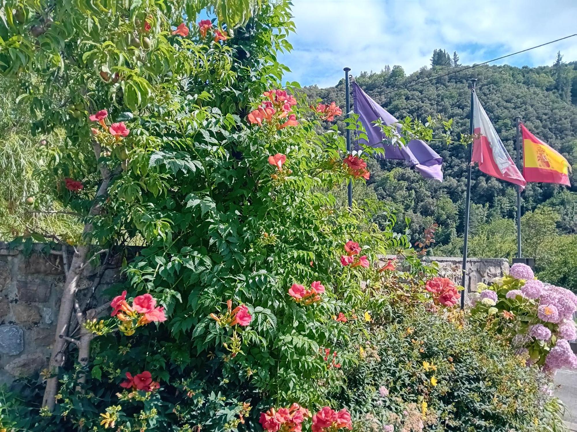 Picos De Europa And Turieno