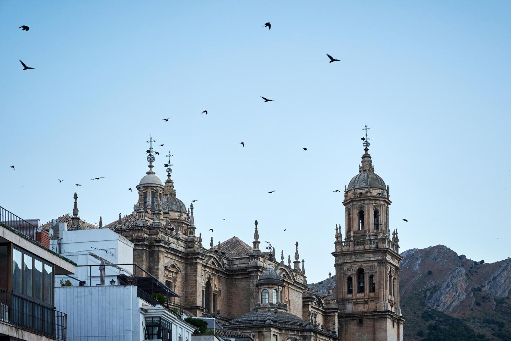 La Carrera 7 - La Catedral *