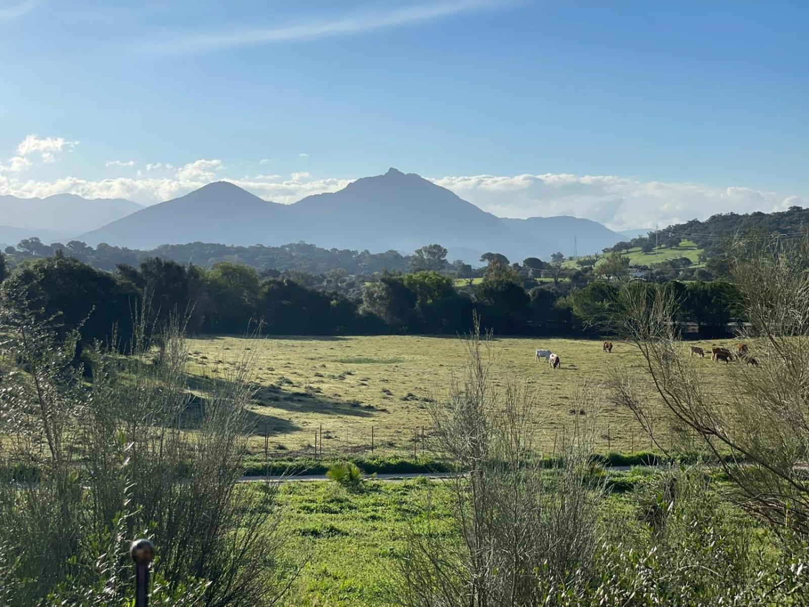 Rustica En Un Rancho Con Caballos, Prado Del Rey, Andalucia Campsite