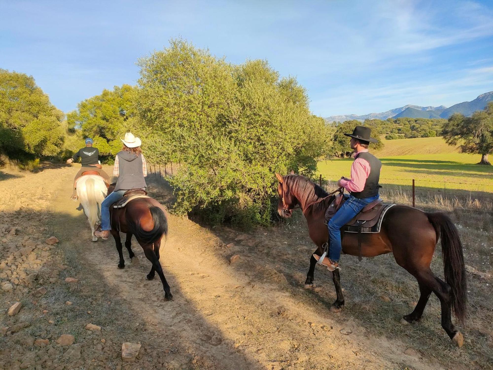 Campsite Rustica En Un Rancho Con Caballos, Prado Del Rey, Andalucia Prado Del Rey