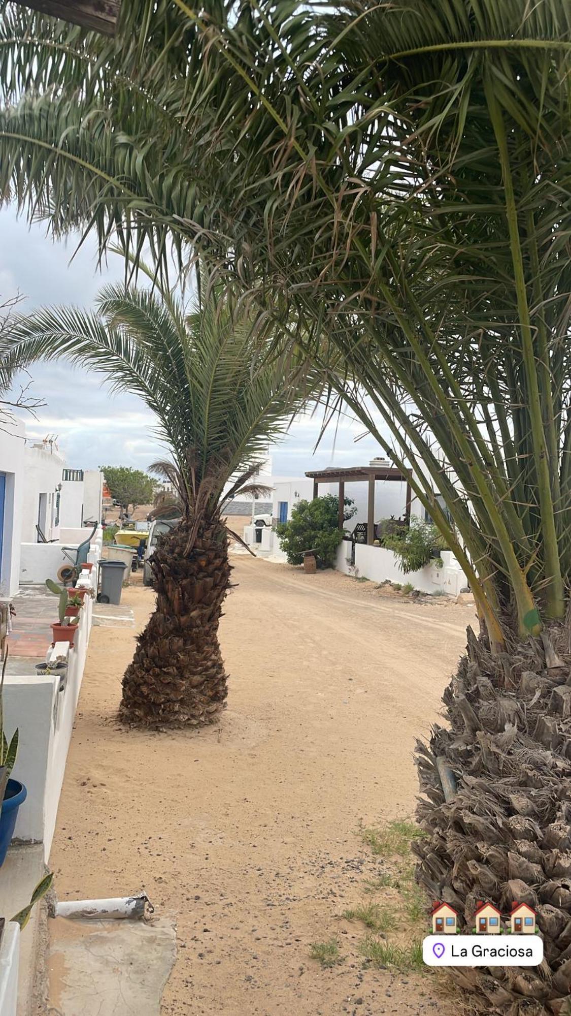 La Nasita Apartment