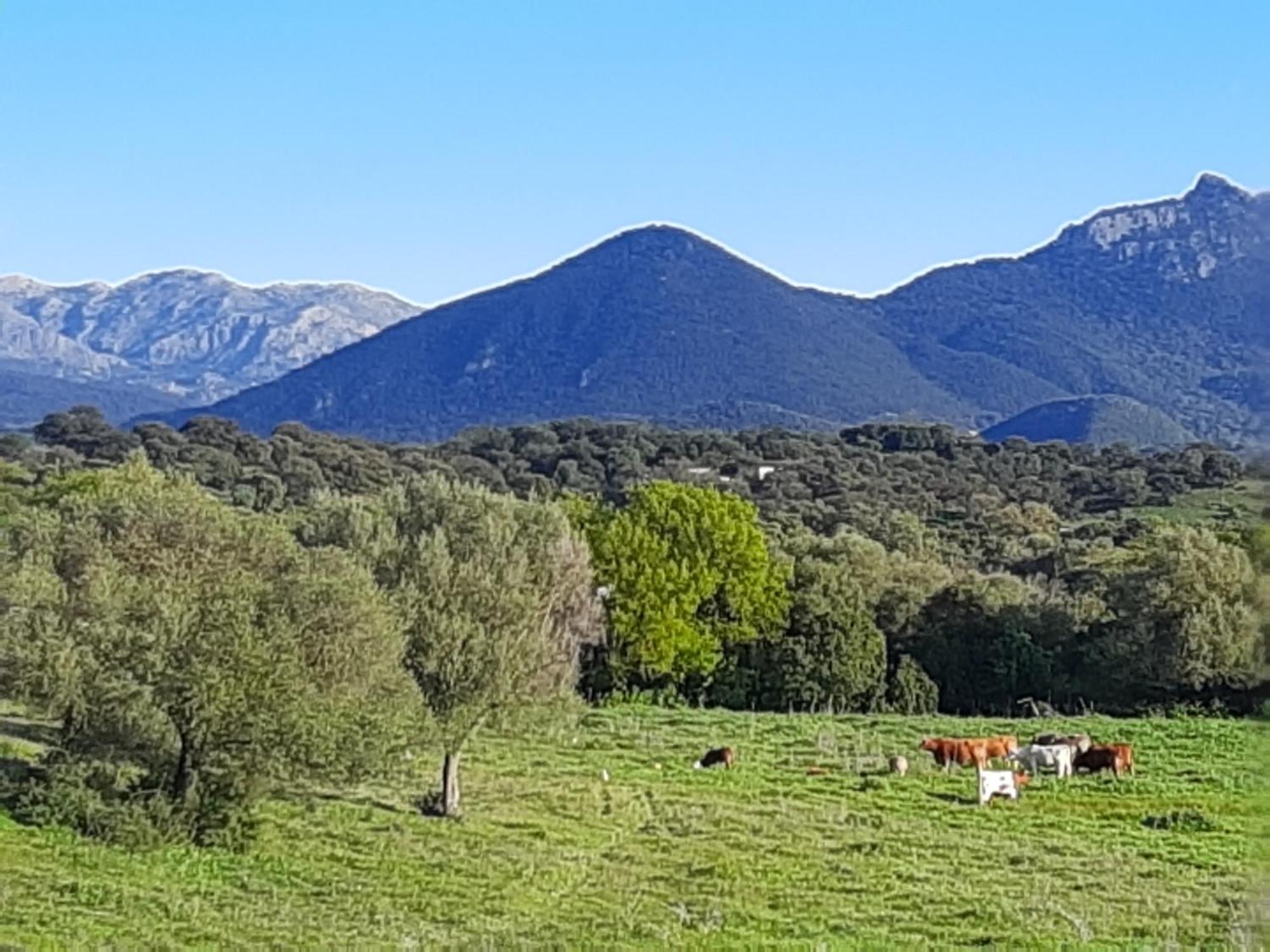 Rustica En Un Rancho Con Caballos, Prado Del Rey, Andalucia Campsite Prado Del Rey