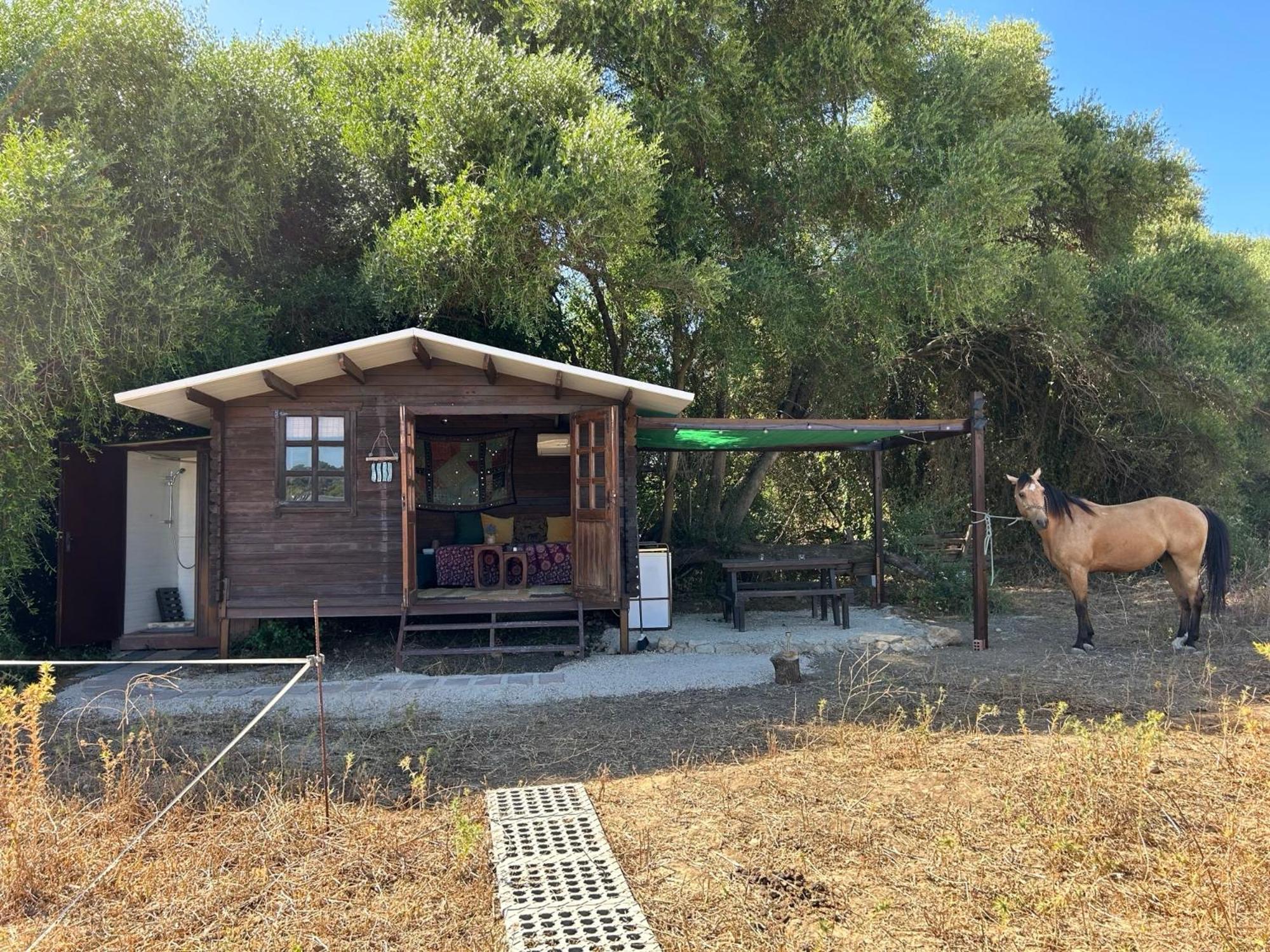 Rustica En Un Rancho Con Caballos, Prado Del Rey, Andalucia * Prado Del Rey