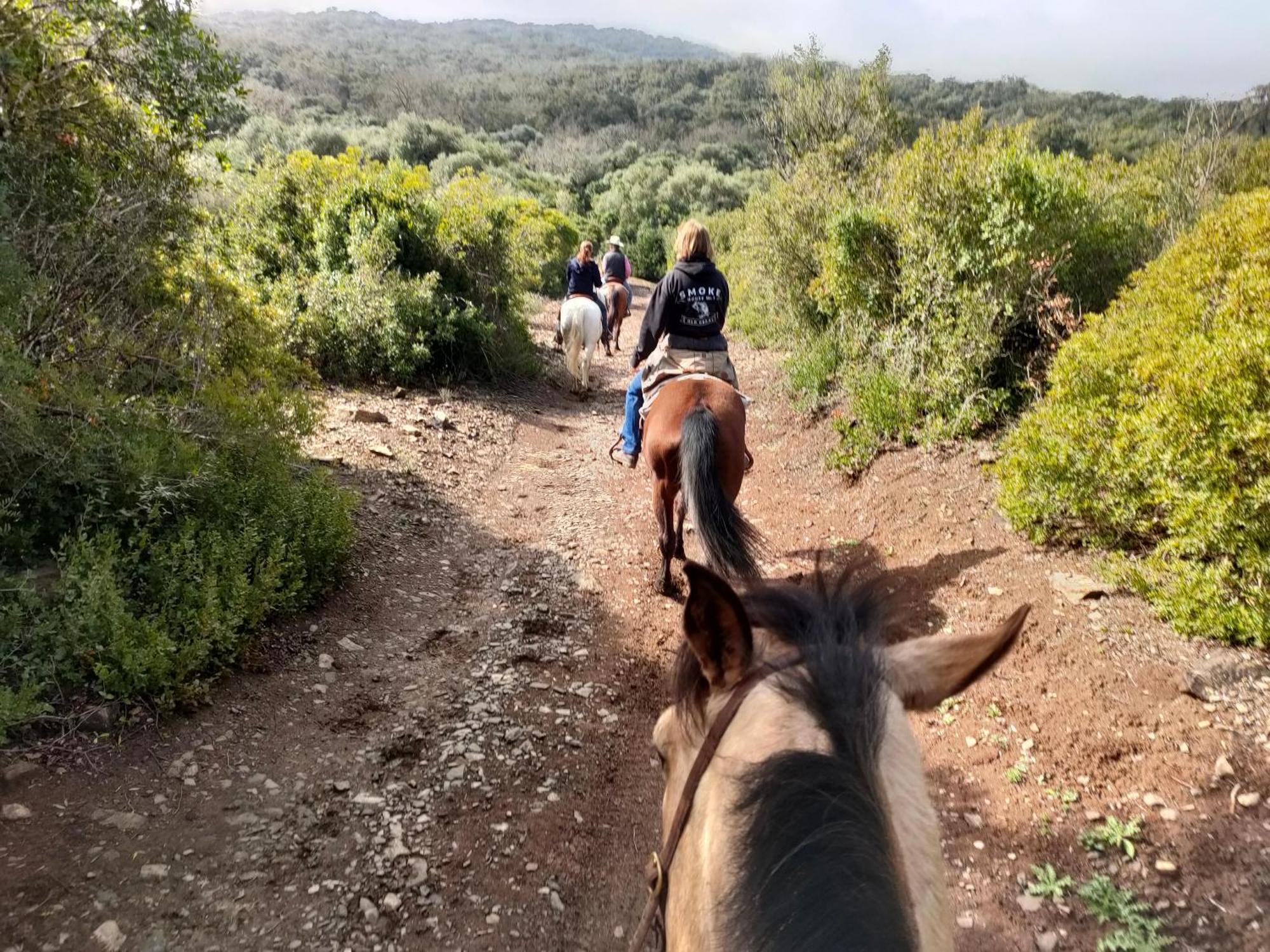Campsite Rustica En Un Rancho Con Caballos, Prado Del Rey, Andalucia
