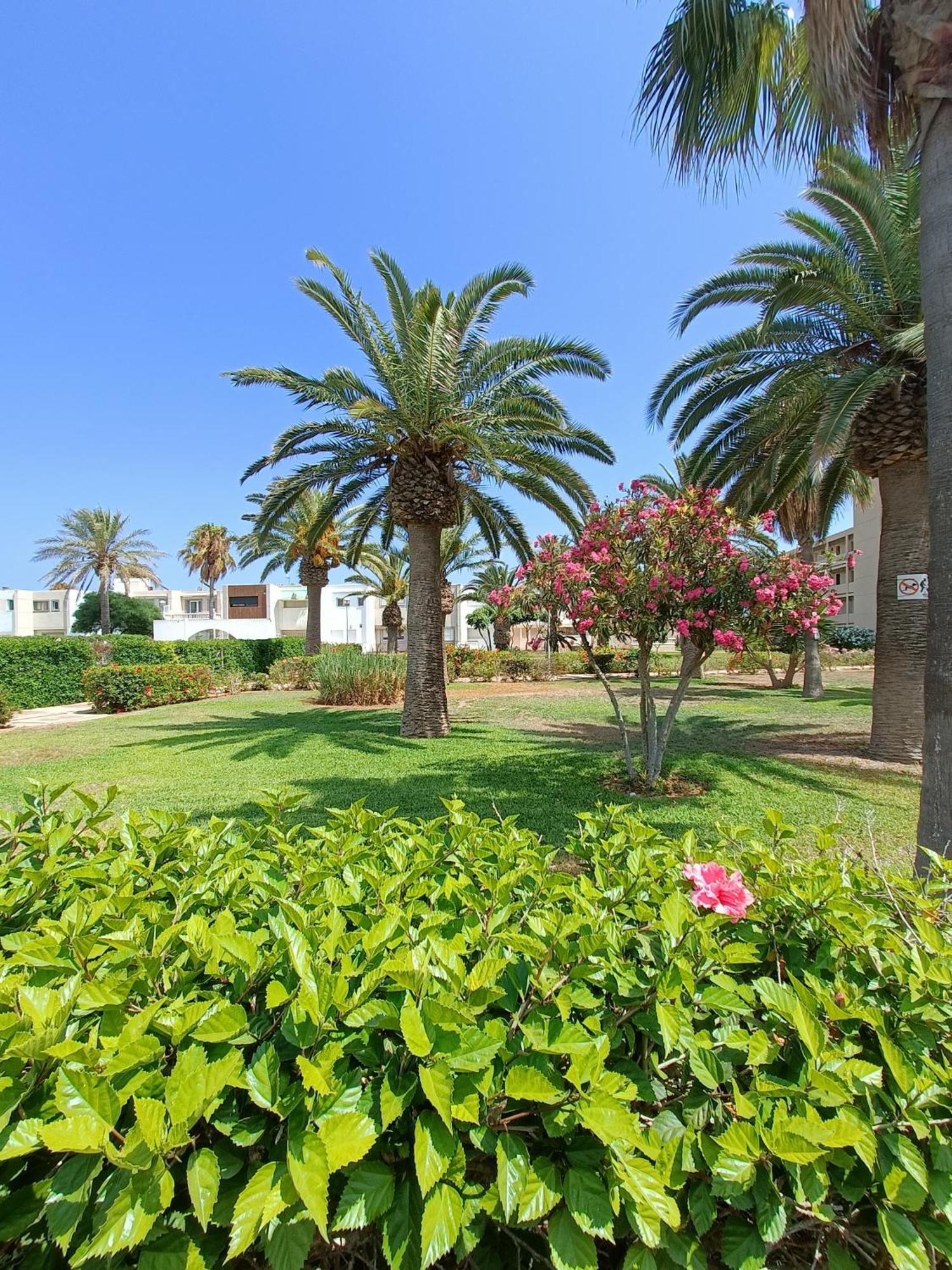 Tropicana Con Salida Directa Al Mar Y Piscina Roquetas de Mar