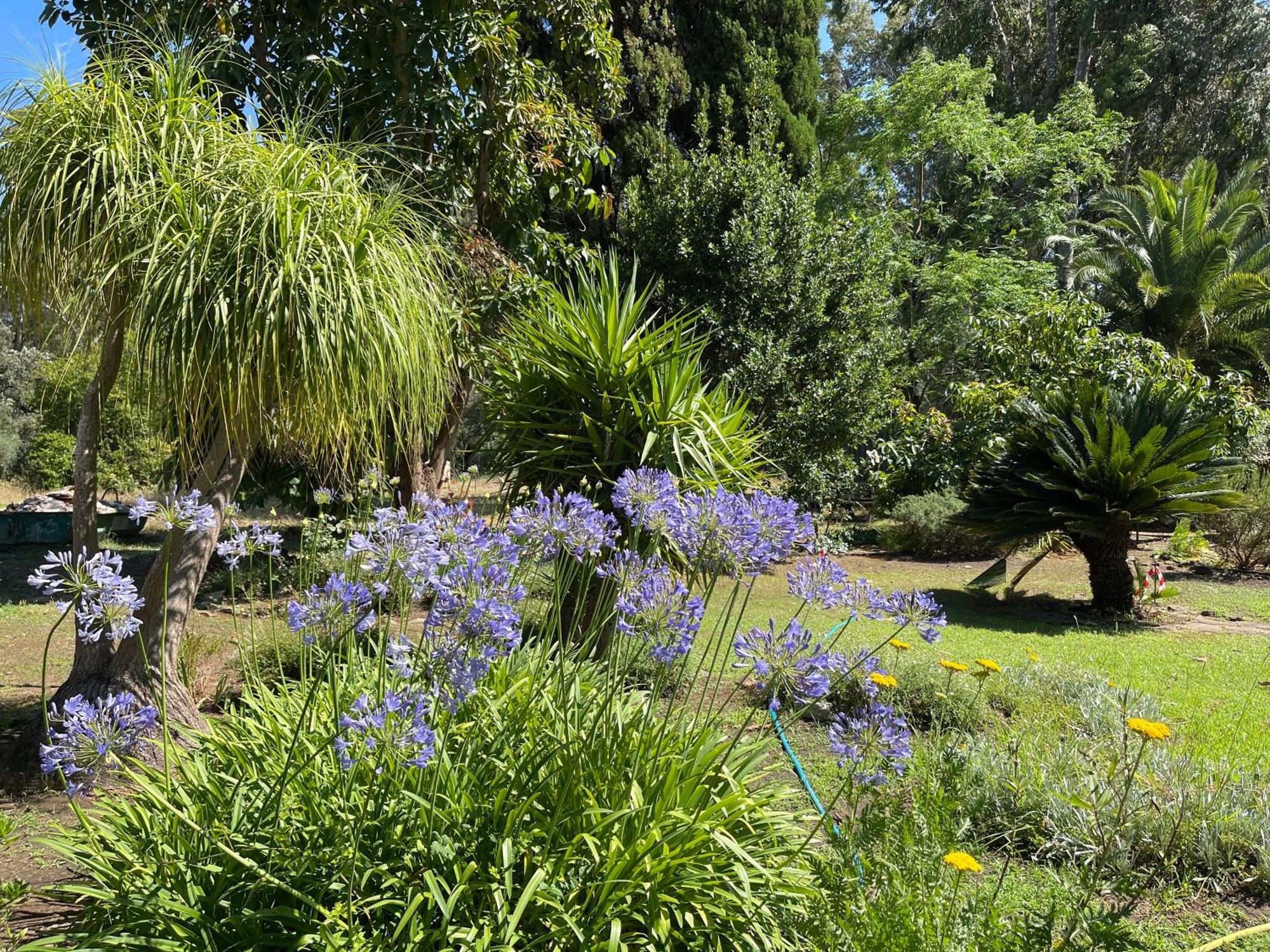 El Buho Villa
