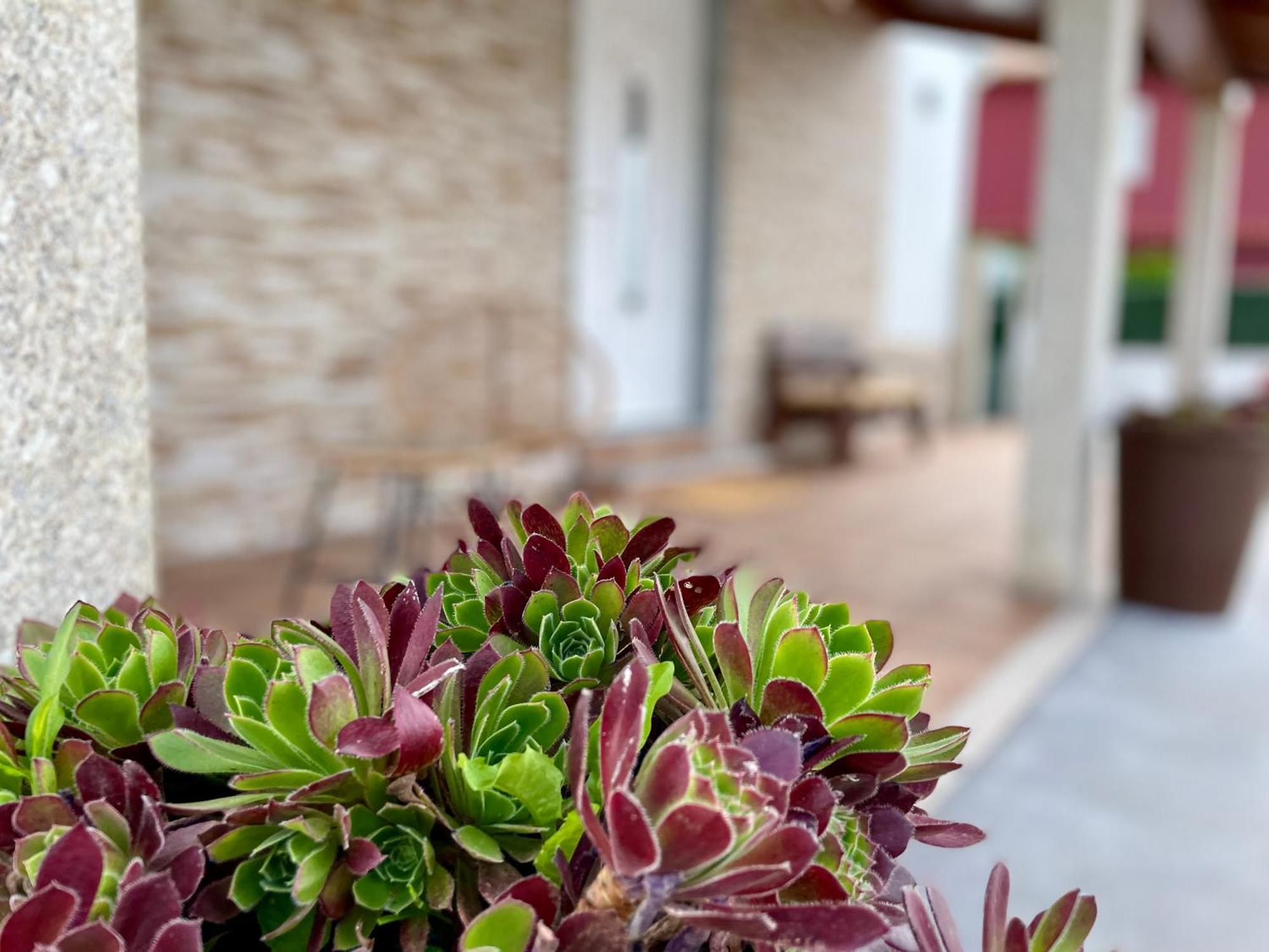Casa Muino Holiday home Bainas