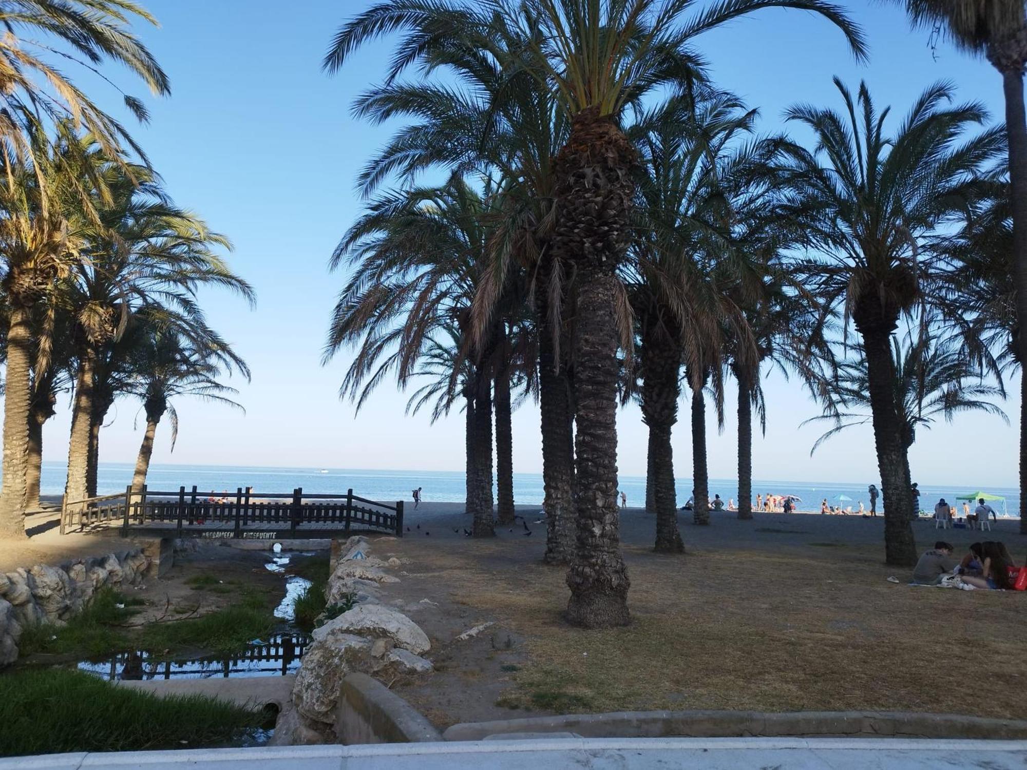 Calidad, Terraza Y Piscina A 500m De La Playa