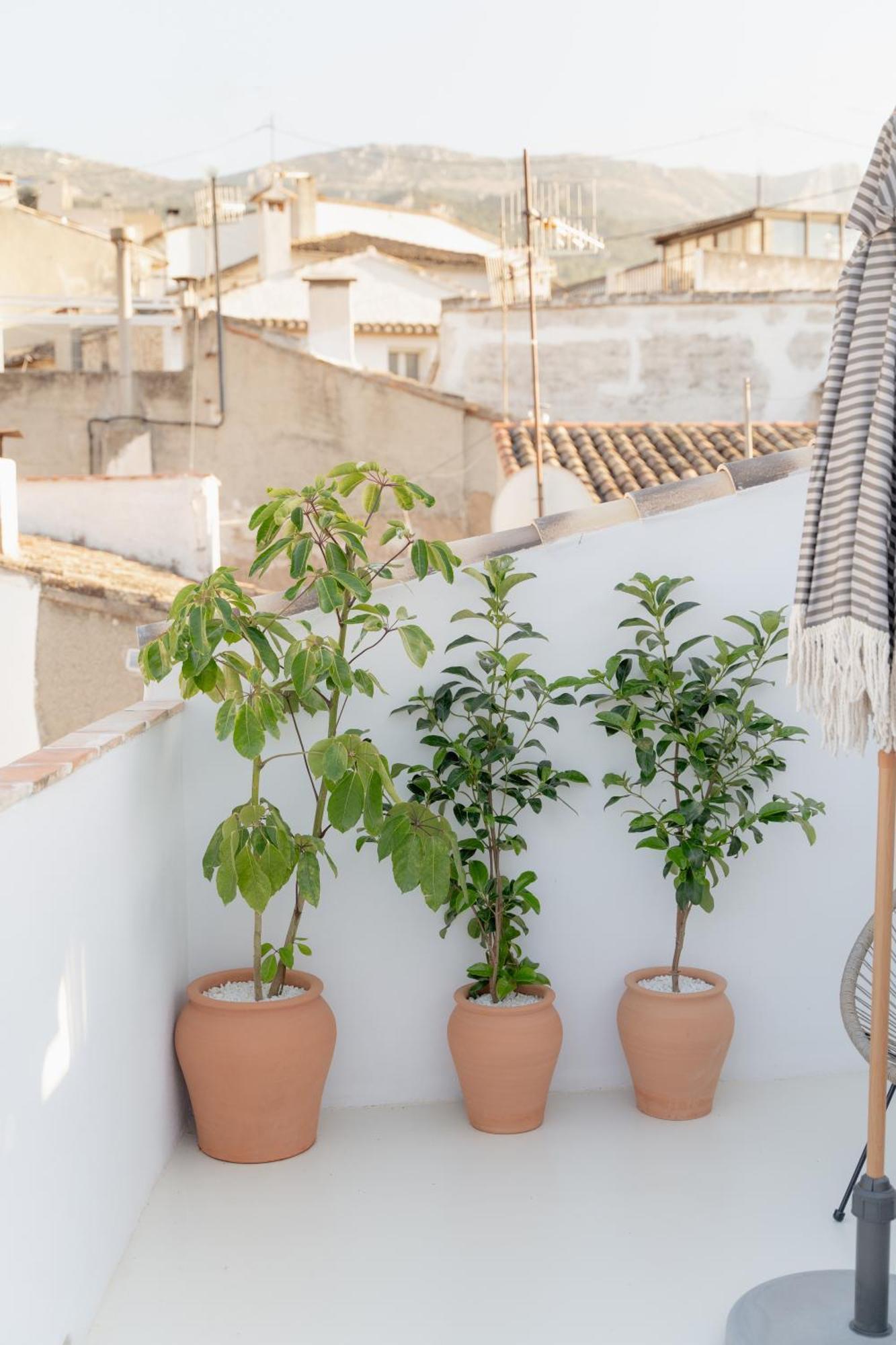 Casa Oliveta - Boutique Benimantell