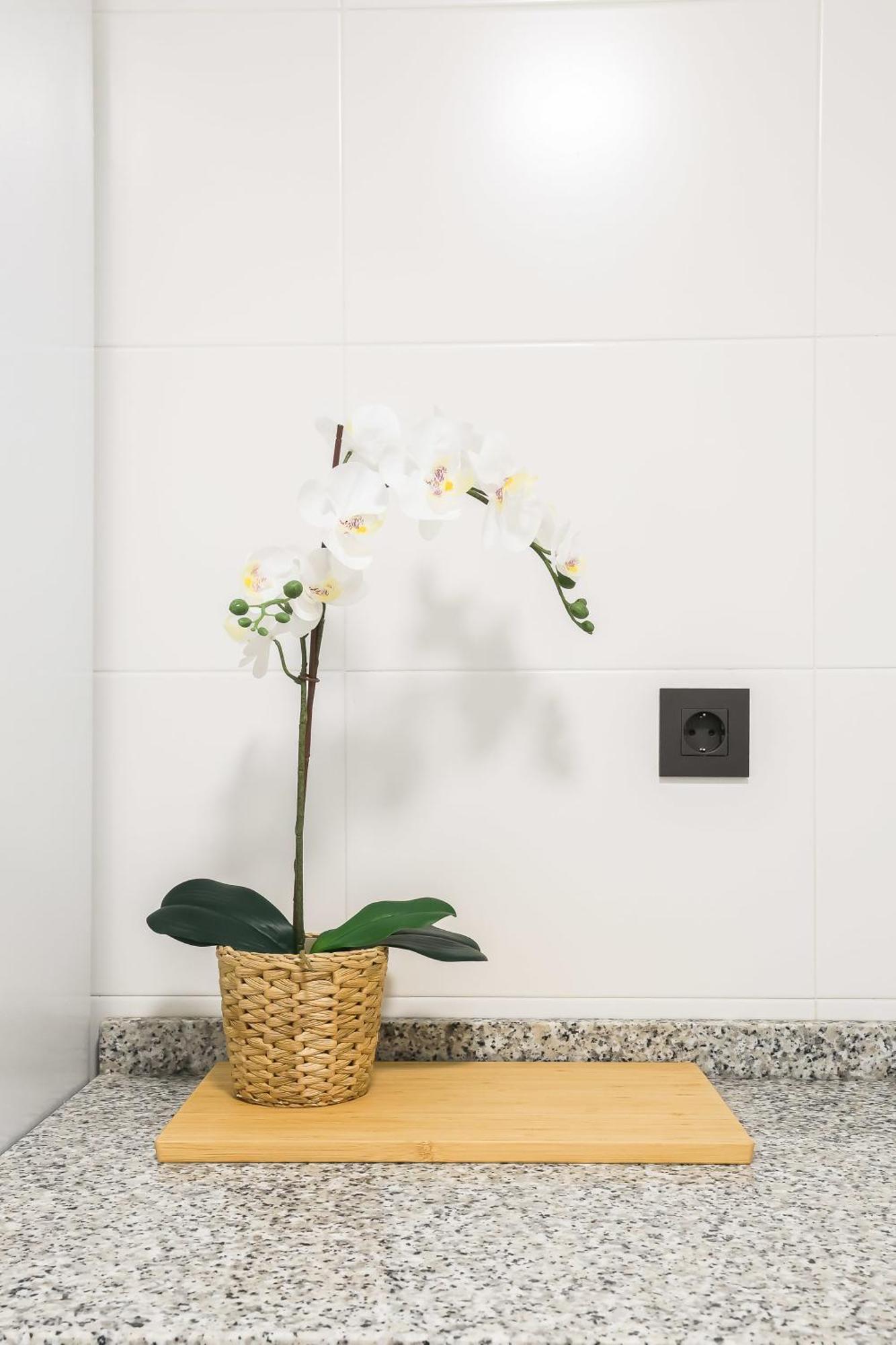 Apartamento Palermo Living En Burriana