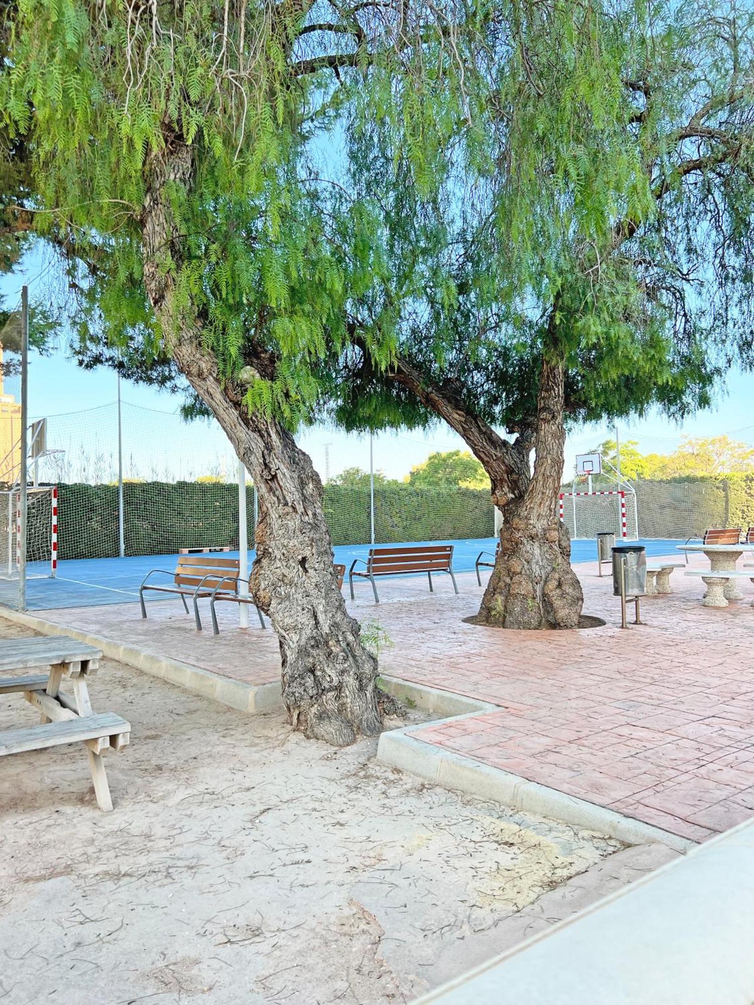 Coqueto Con Piscina, Nuevo A 50m Del Mar, Parking Gratis Apartamento *