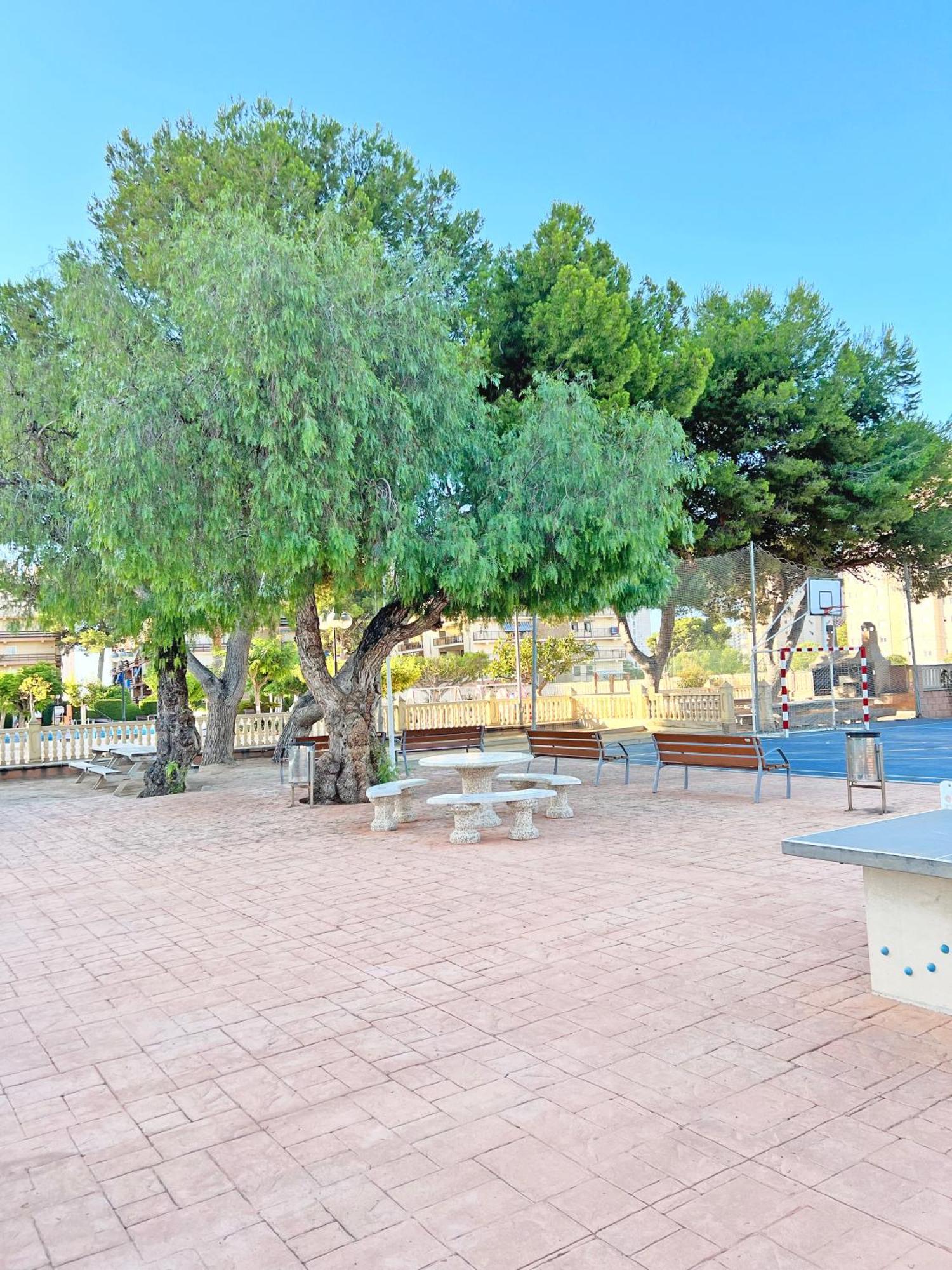 Apartamento Coqueto Con Piscina, Nuevo A 50m Del Mar, Parking Gratis El Campello
