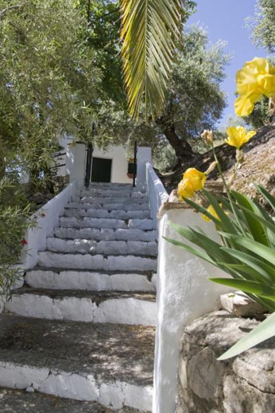 Molino El Vinculo Country house *