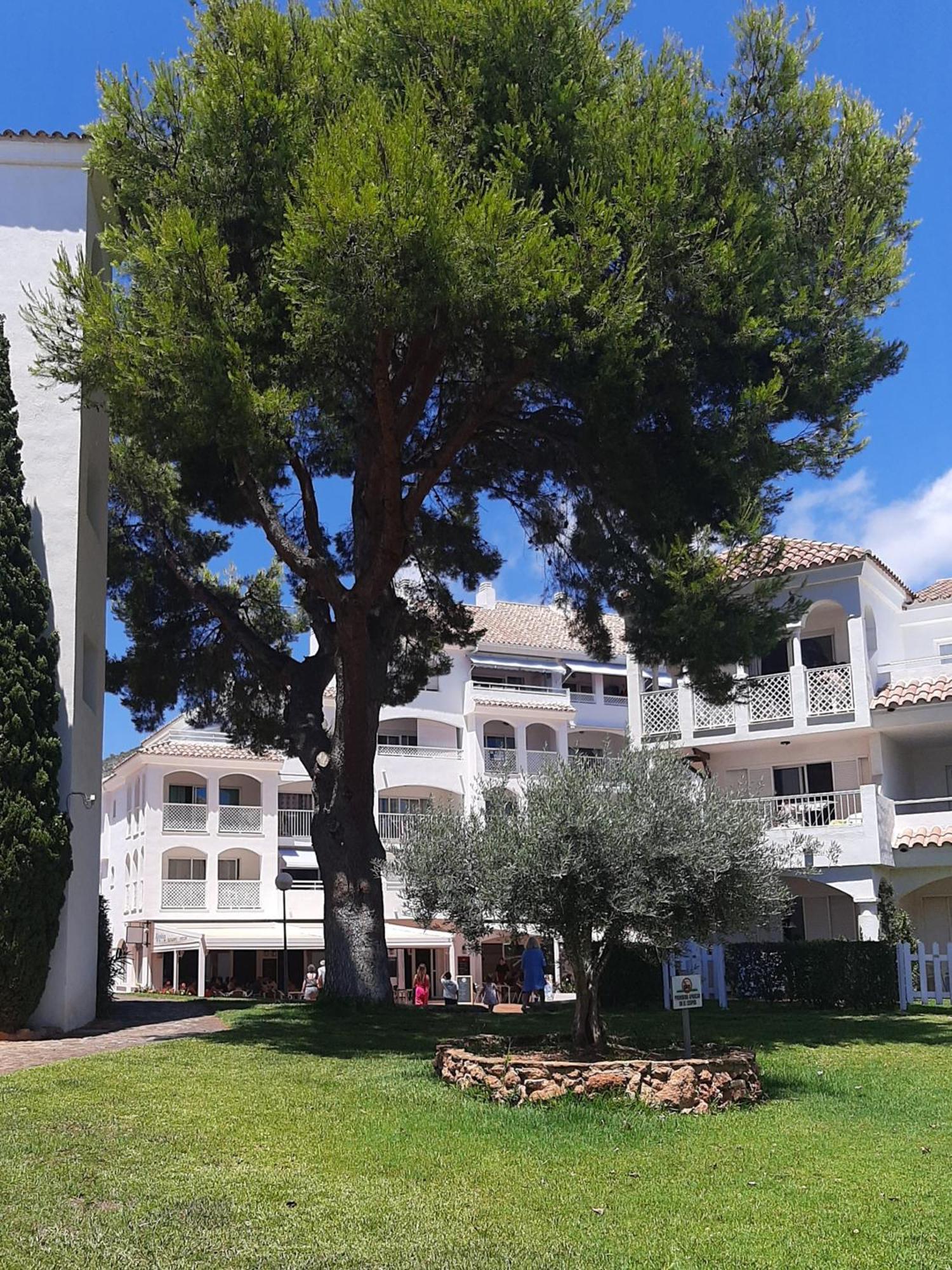 Apcostas - Complejo Al Andalus Apartment