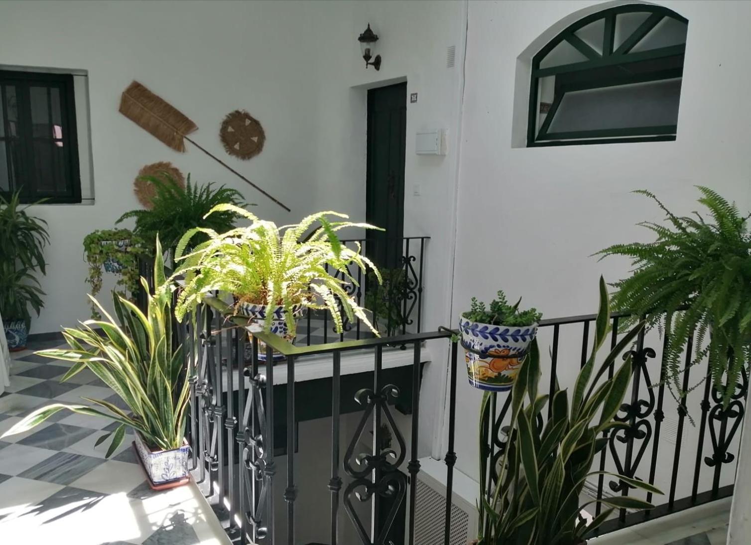 Apartamento Ave Maria 7