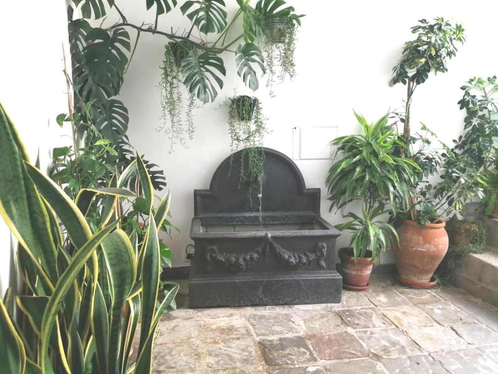 Ave Maria 7 Apartamento Tarifa