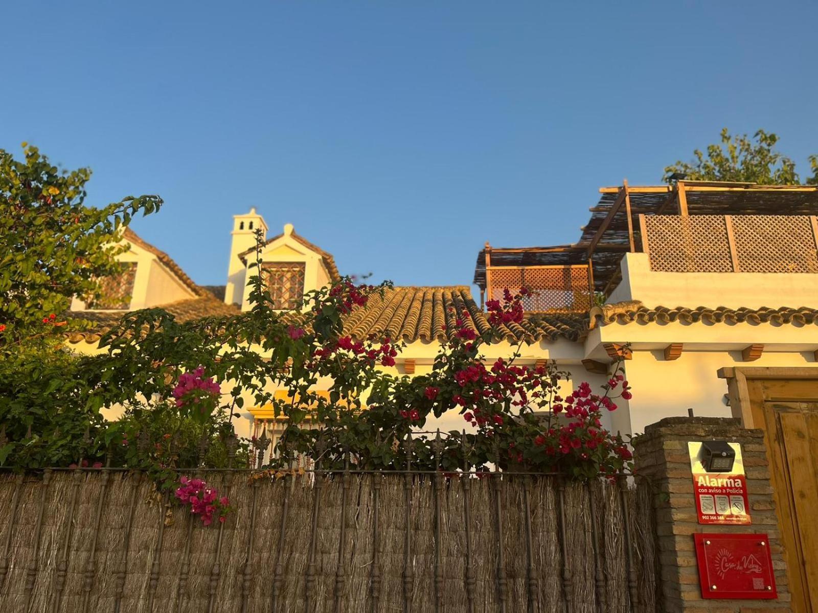 Casa De Vicky Guest house