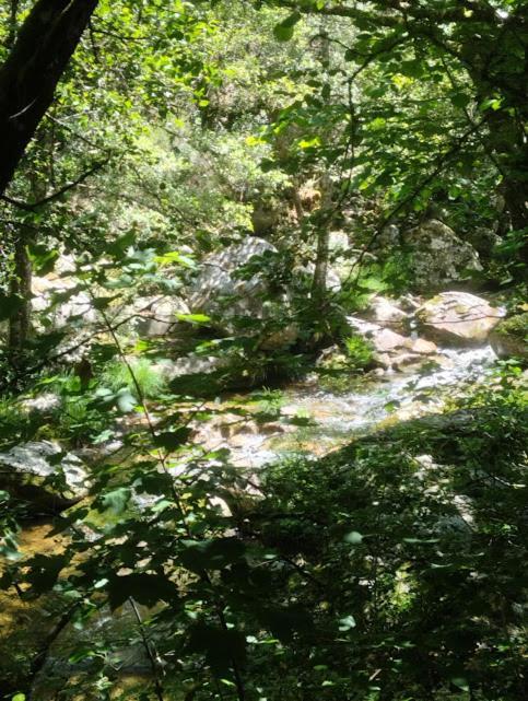 Сasa de vacaciones O Recuncho Da Isa - Ribeira Sacra Pereiro de Aguiar