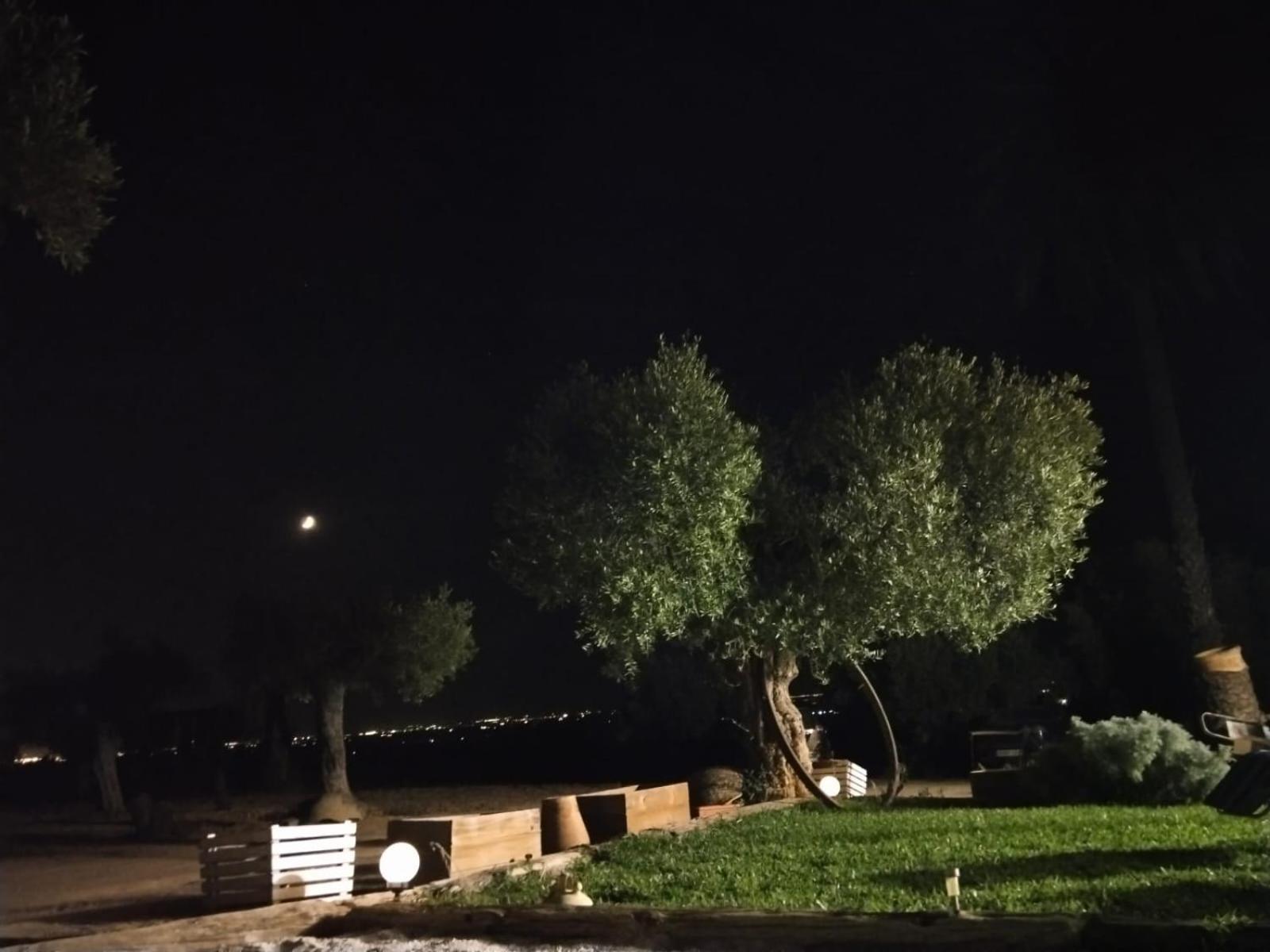 Cerro Campon Holiday home Carmona (Seville)