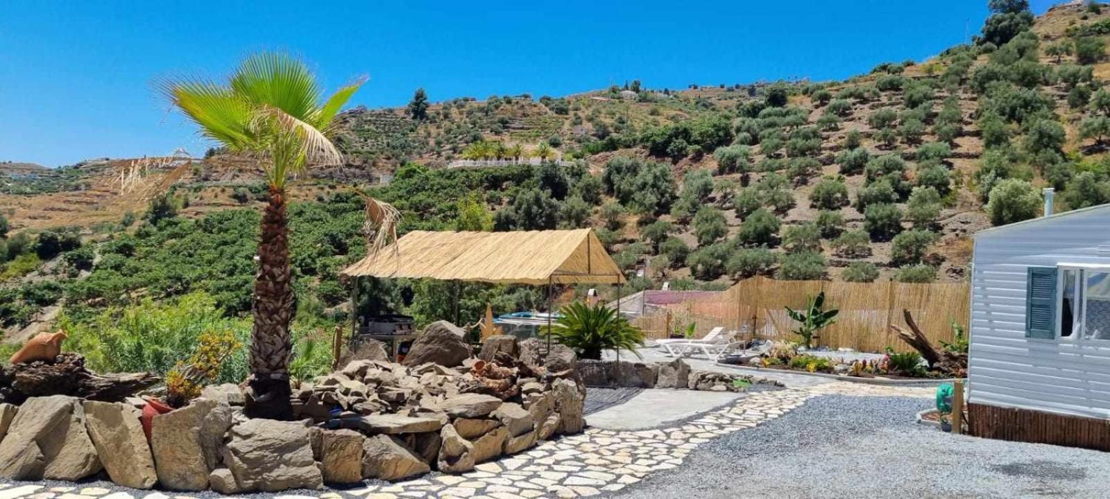 Apartment Casa Oasis