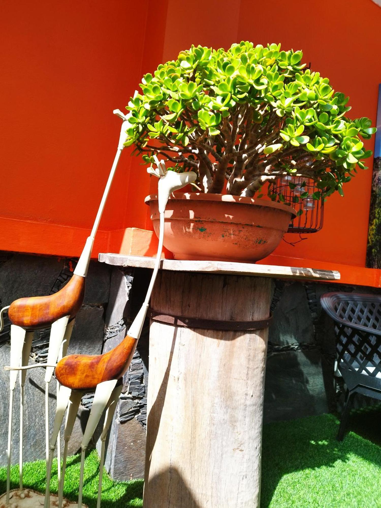 Cantora Holiday home