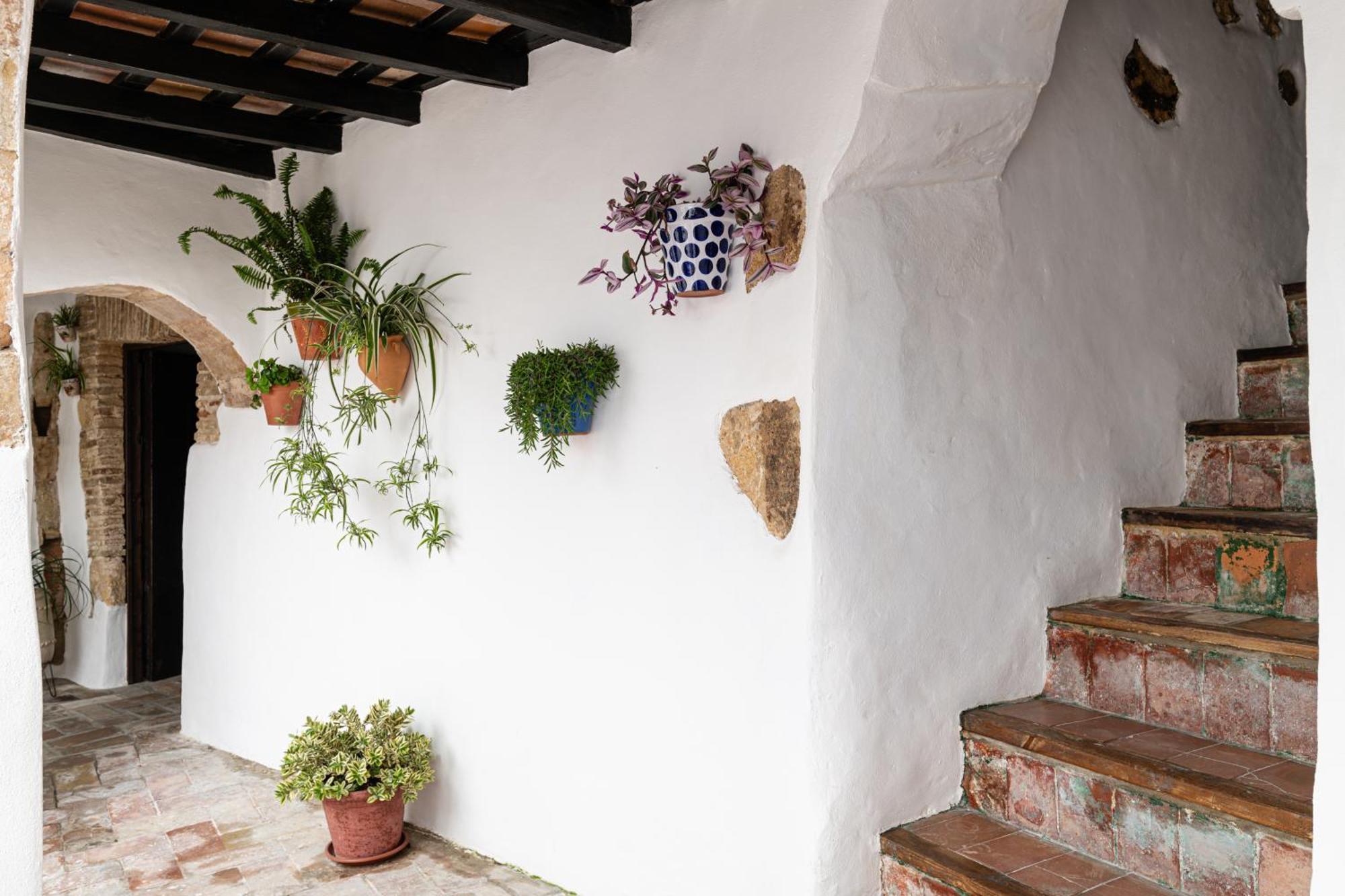 Casa Lunarito * Vejer de la Frontera