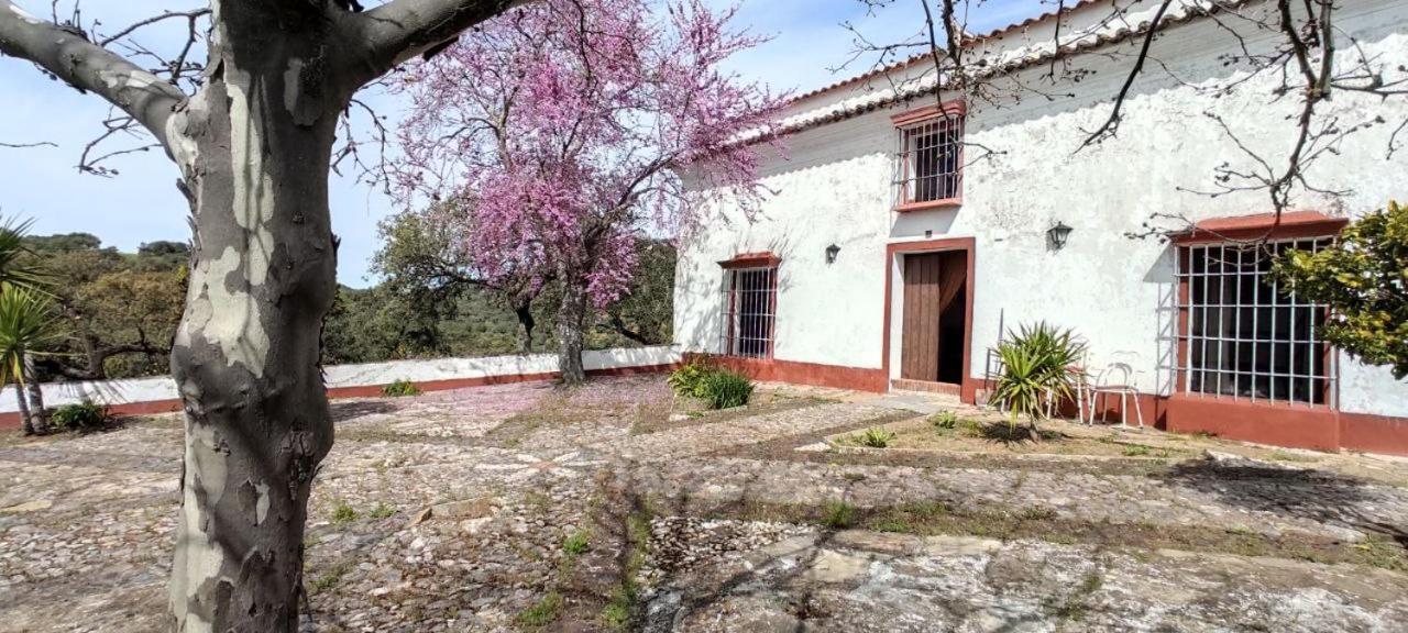 Cortijo Torres