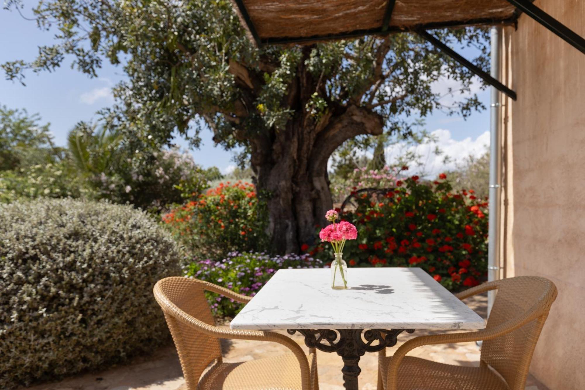 Farm stay Son Marimon (adults Only) Santanyi