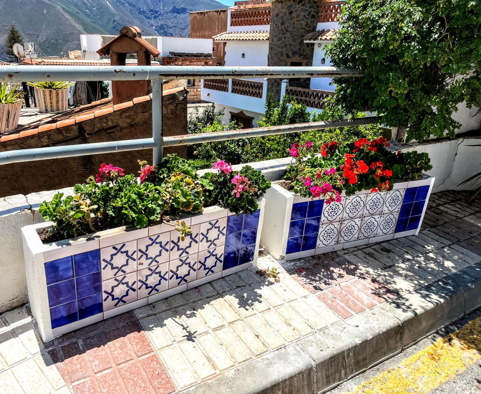 Guest house Casa Jazmin