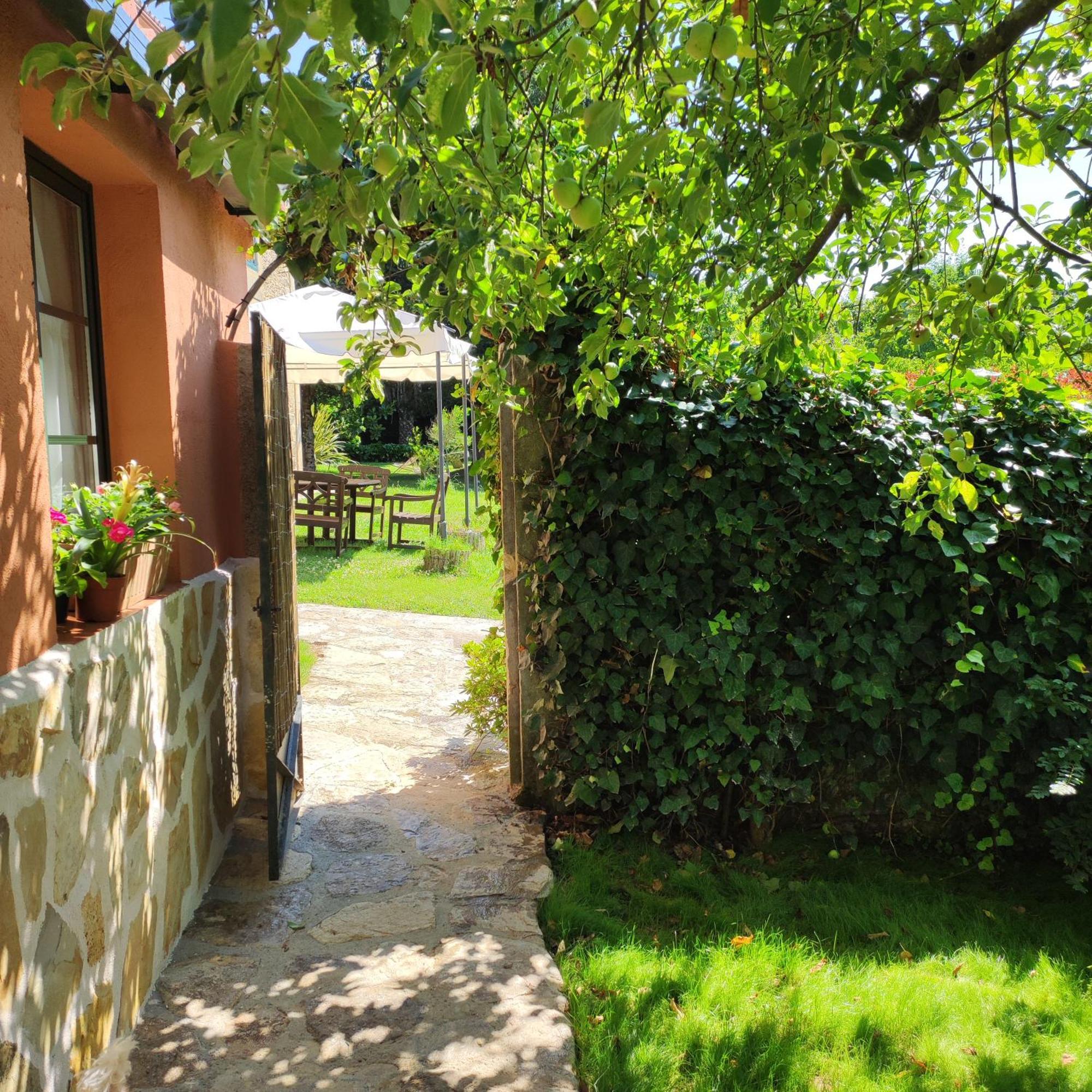 Apartment Casa Dos Cregos Bascuas