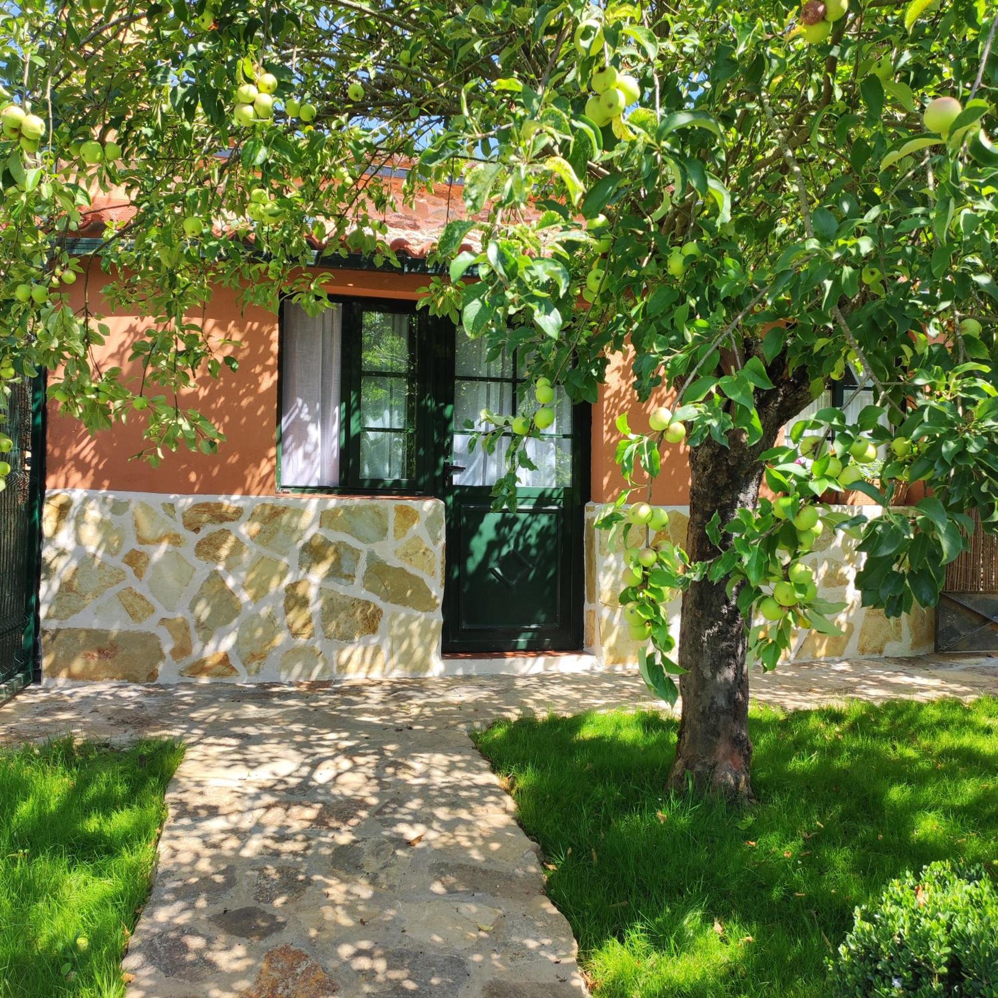 Casa Dos Cregos * Bascuas