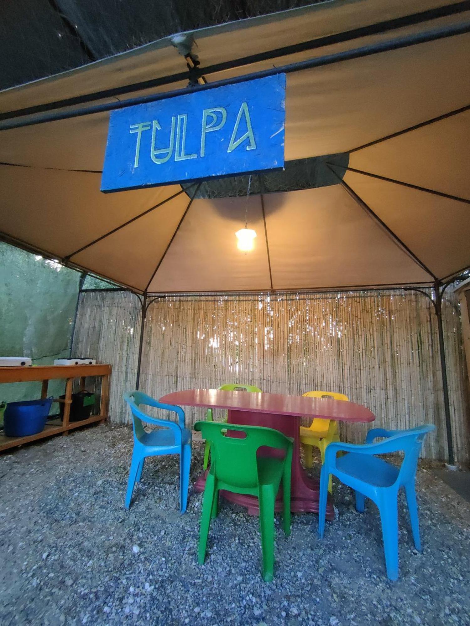 Tulpa Cadiz *