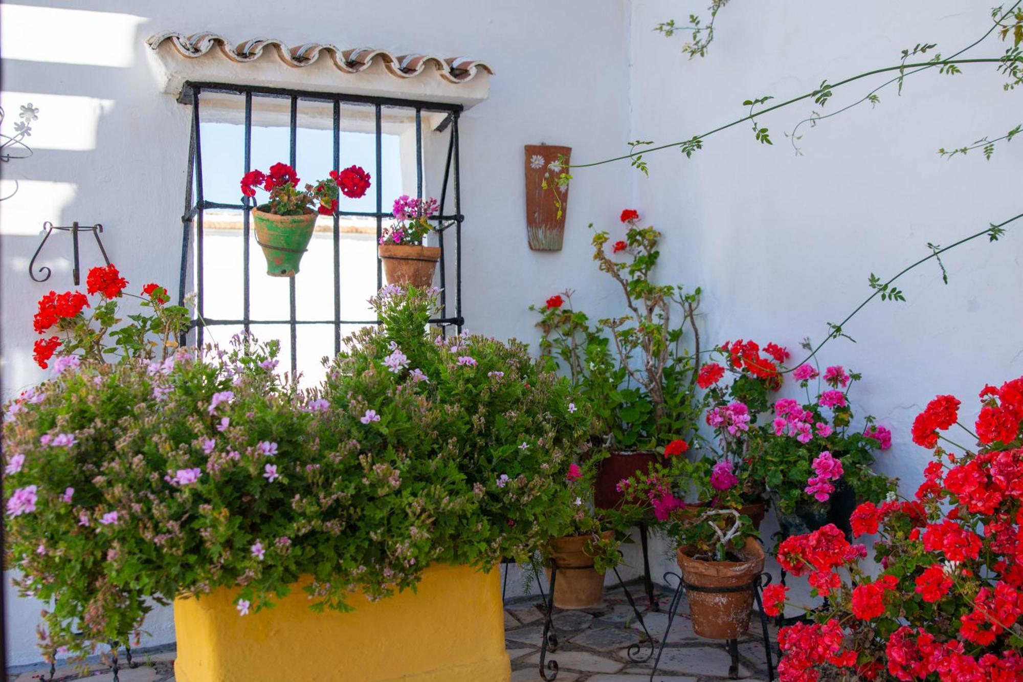 Сasa de vacaciones Cortijo Del Coco