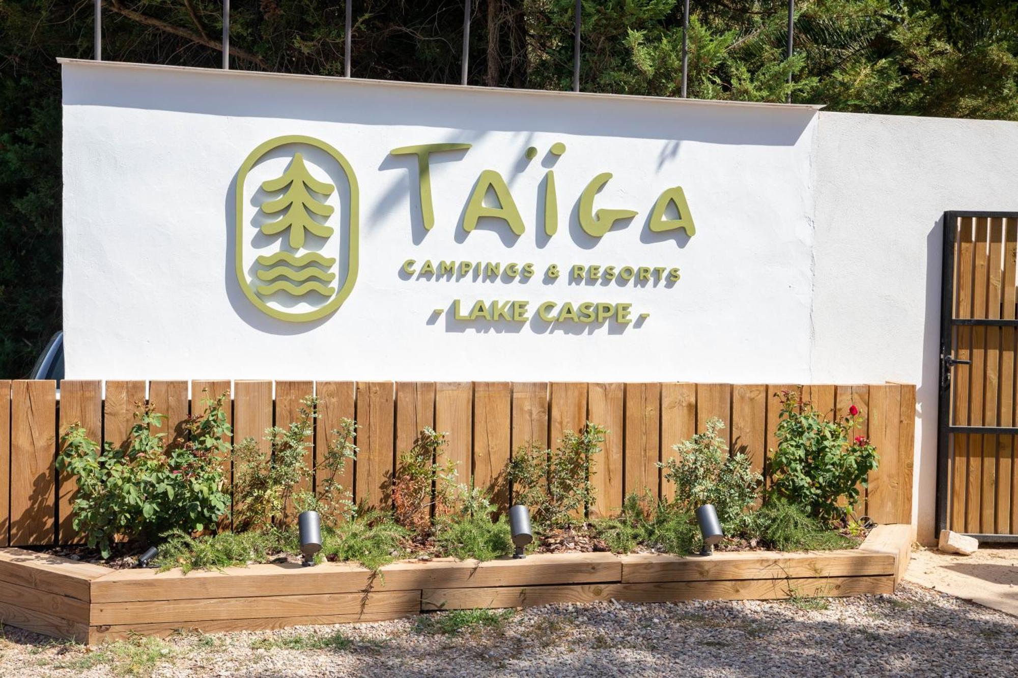 Taiga Caspe