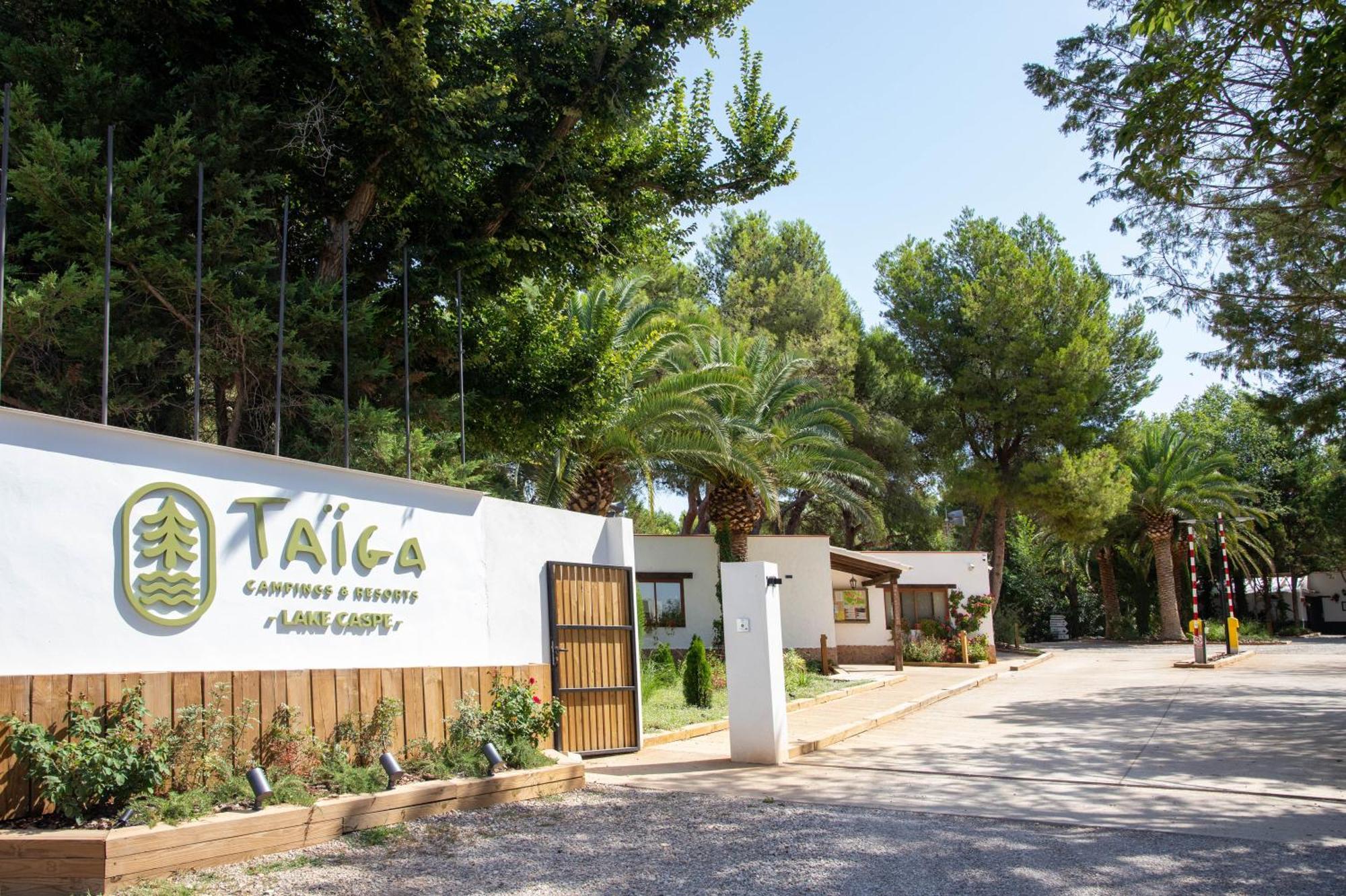 Taiga * Caspe