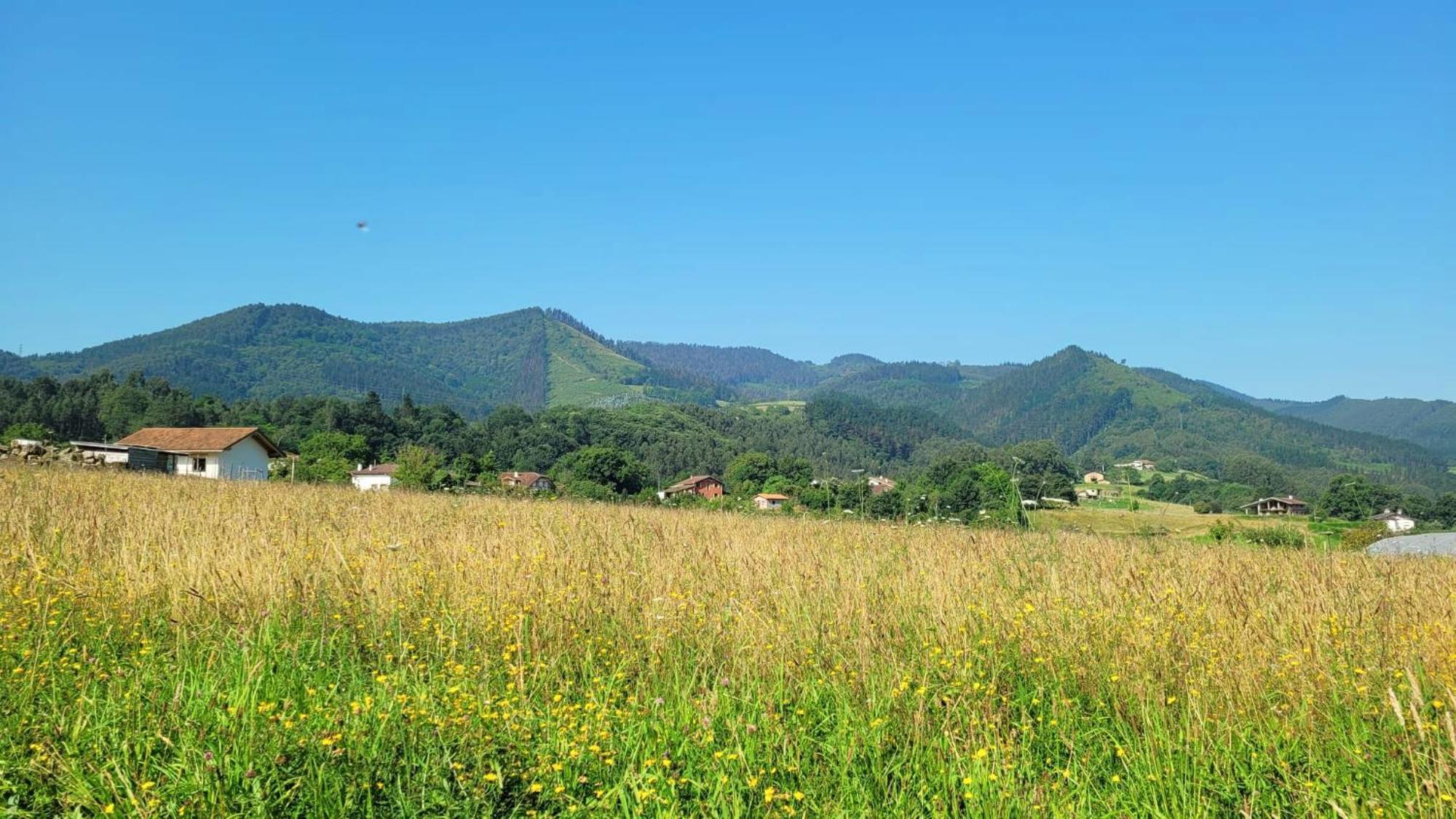 Hotel Aldori Landetxea: Adults-only Biosphere Retreat