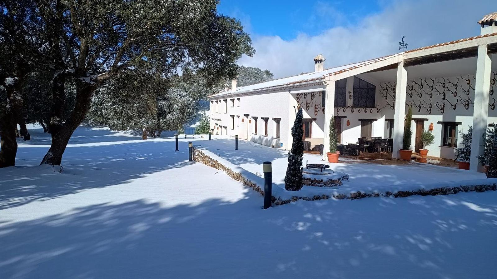 El Pinar De La Lobera