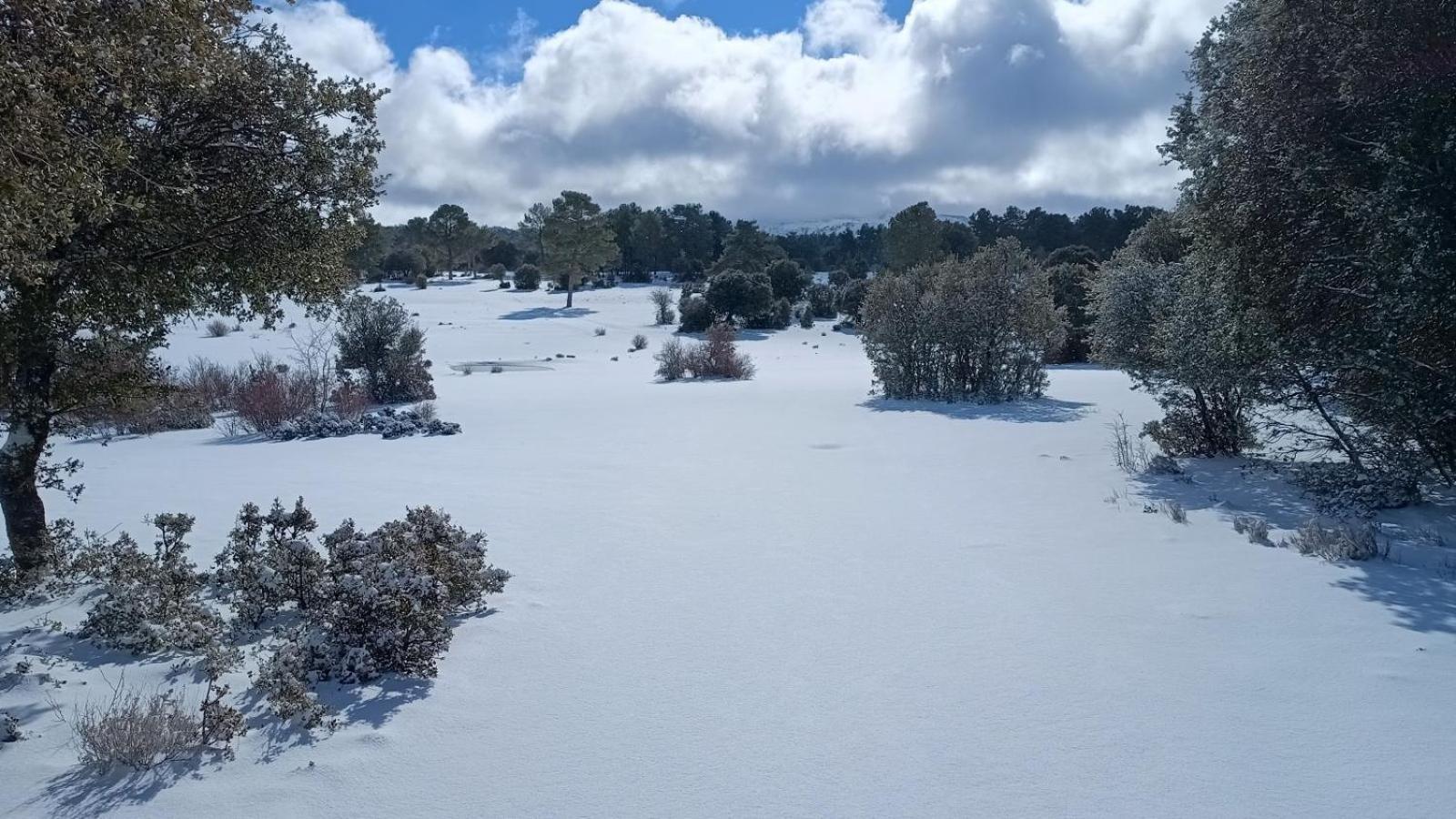 Casa rural El Pinar De La Lobera