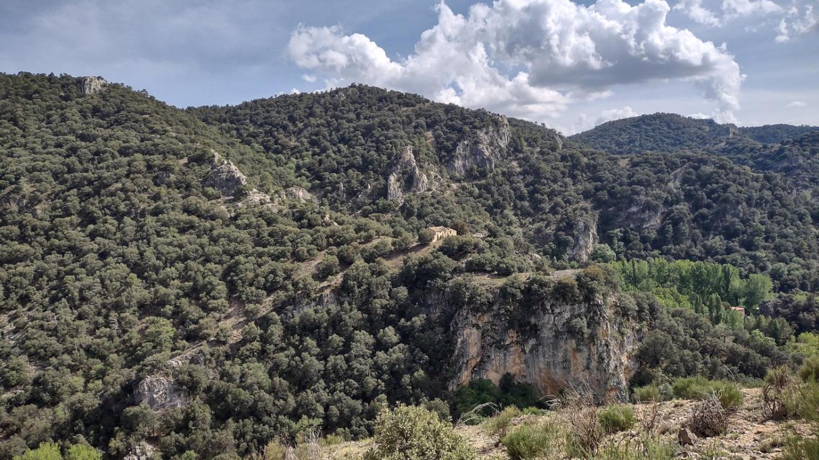 Casa rural El Pinar De La Lobera *