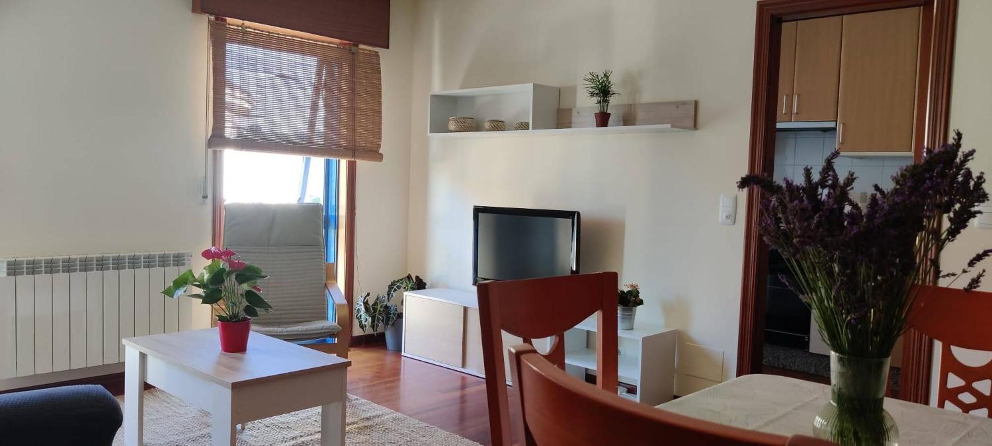 Apartamento Piso Plaza 10 Amés
