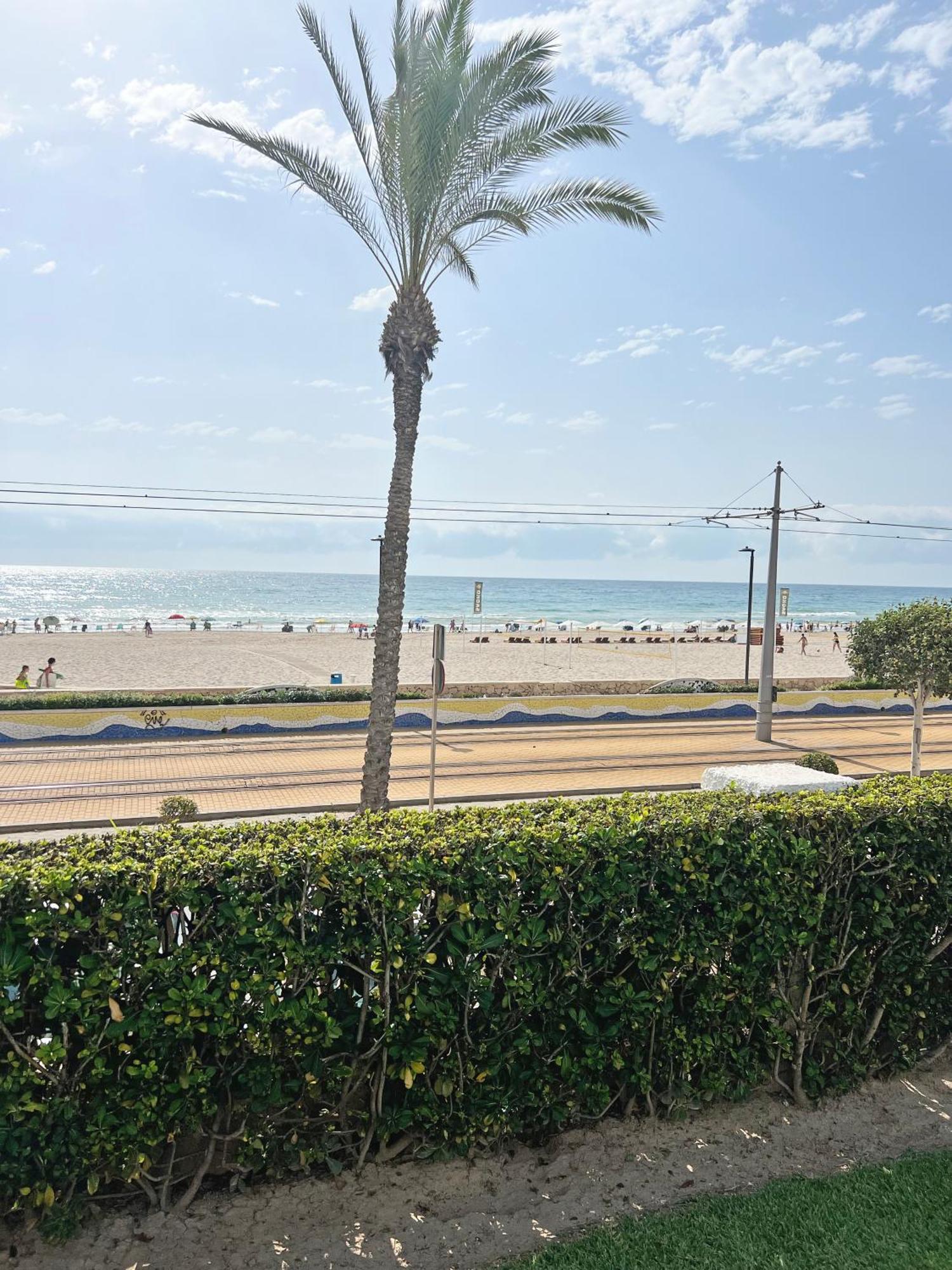1ª Linea De Playa, Piscina, Parking, Ac El Campello