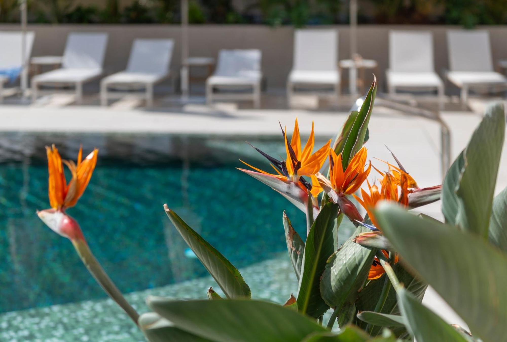 Aqua Promenade Hotel 4*