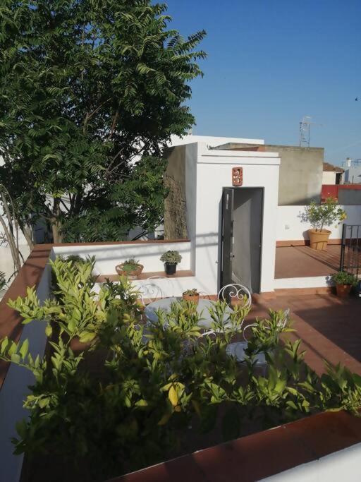 Apartment El Sosiego *