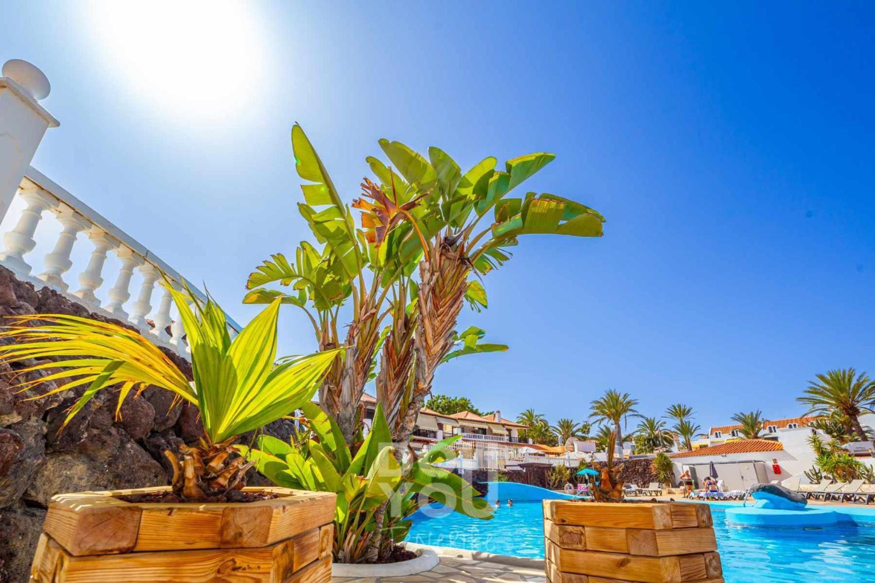 Paraiso Royal Apartahotel Arona (Tenerife)